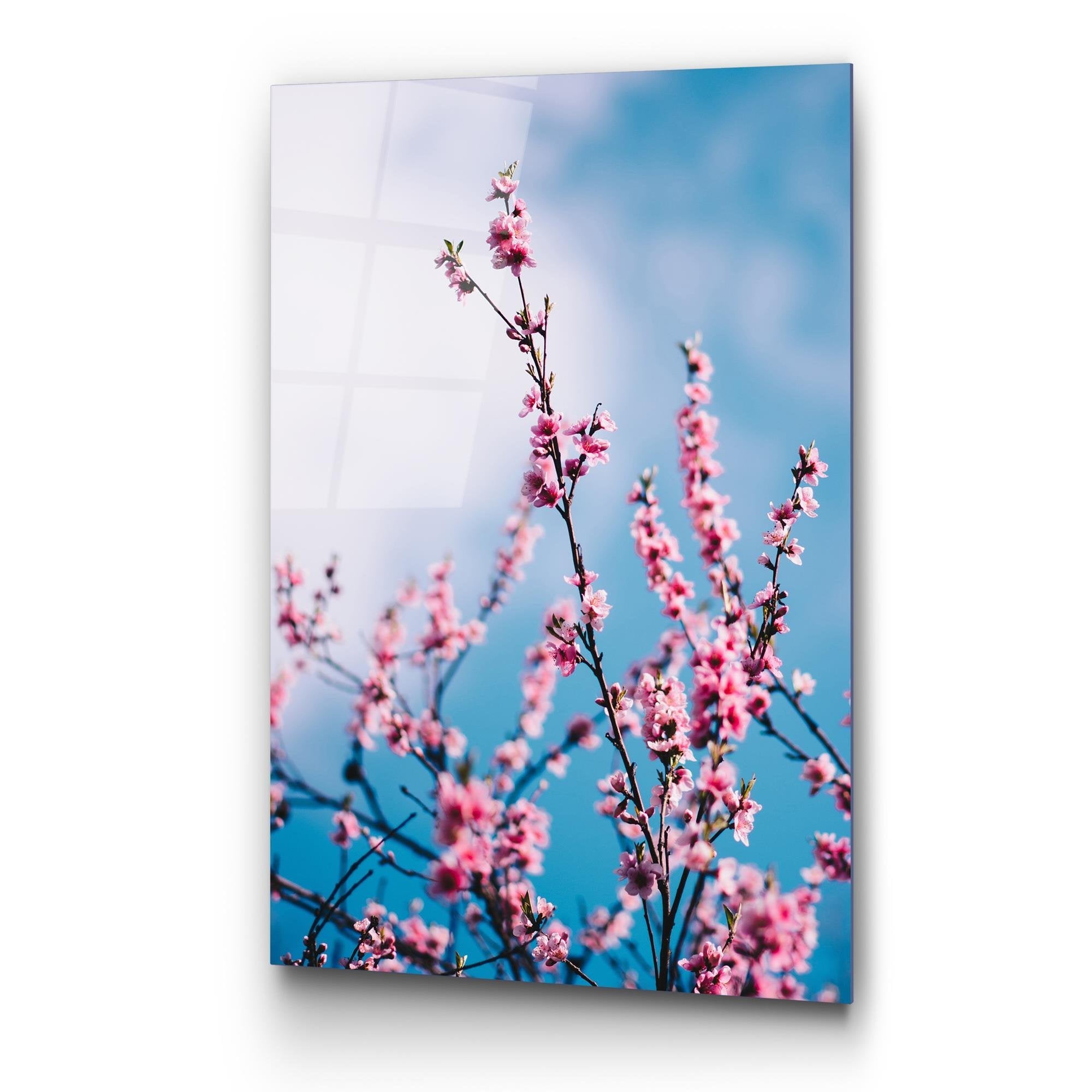 UV-186 Baskılı Cam Dikdörtgen Duvar Tablosu | ByLamp