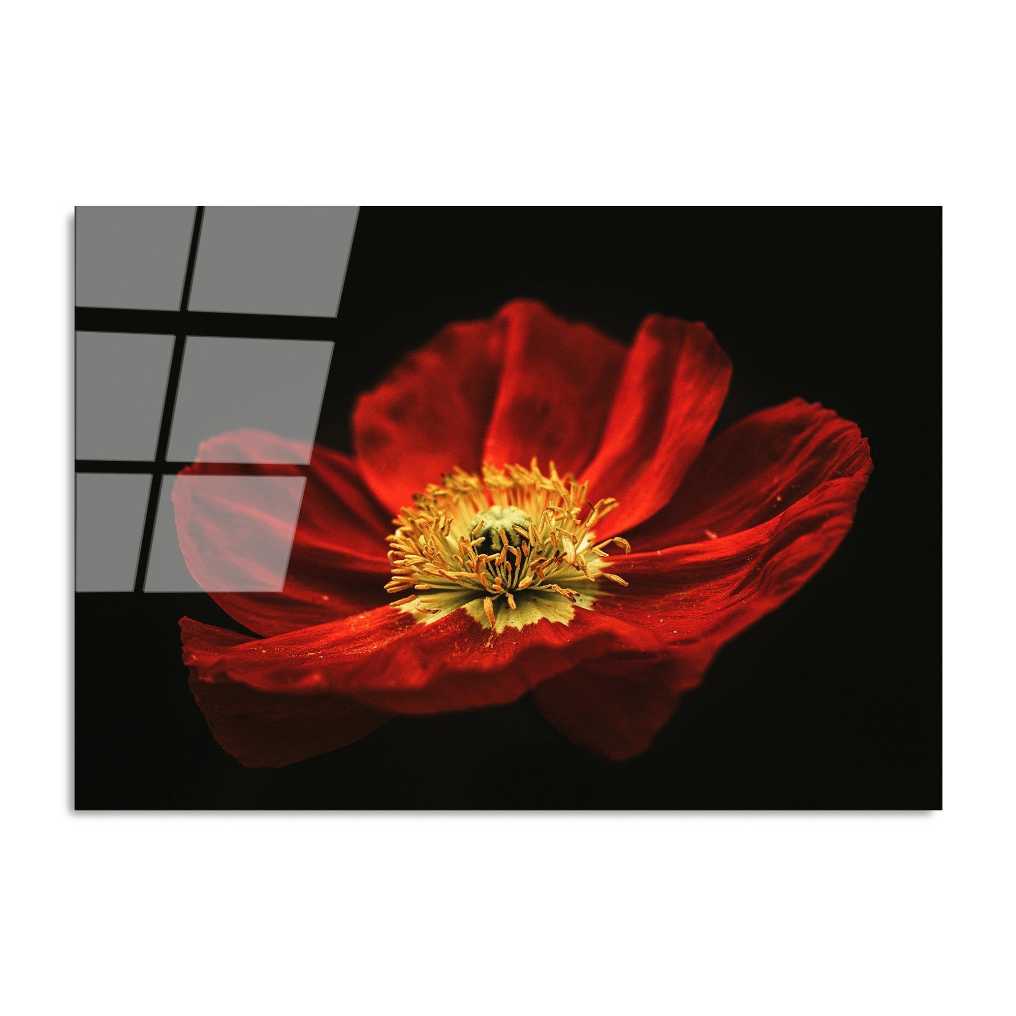 UV-204 Baskılı Cam Dikdörtgen Duvar Tablosu | ByLamp