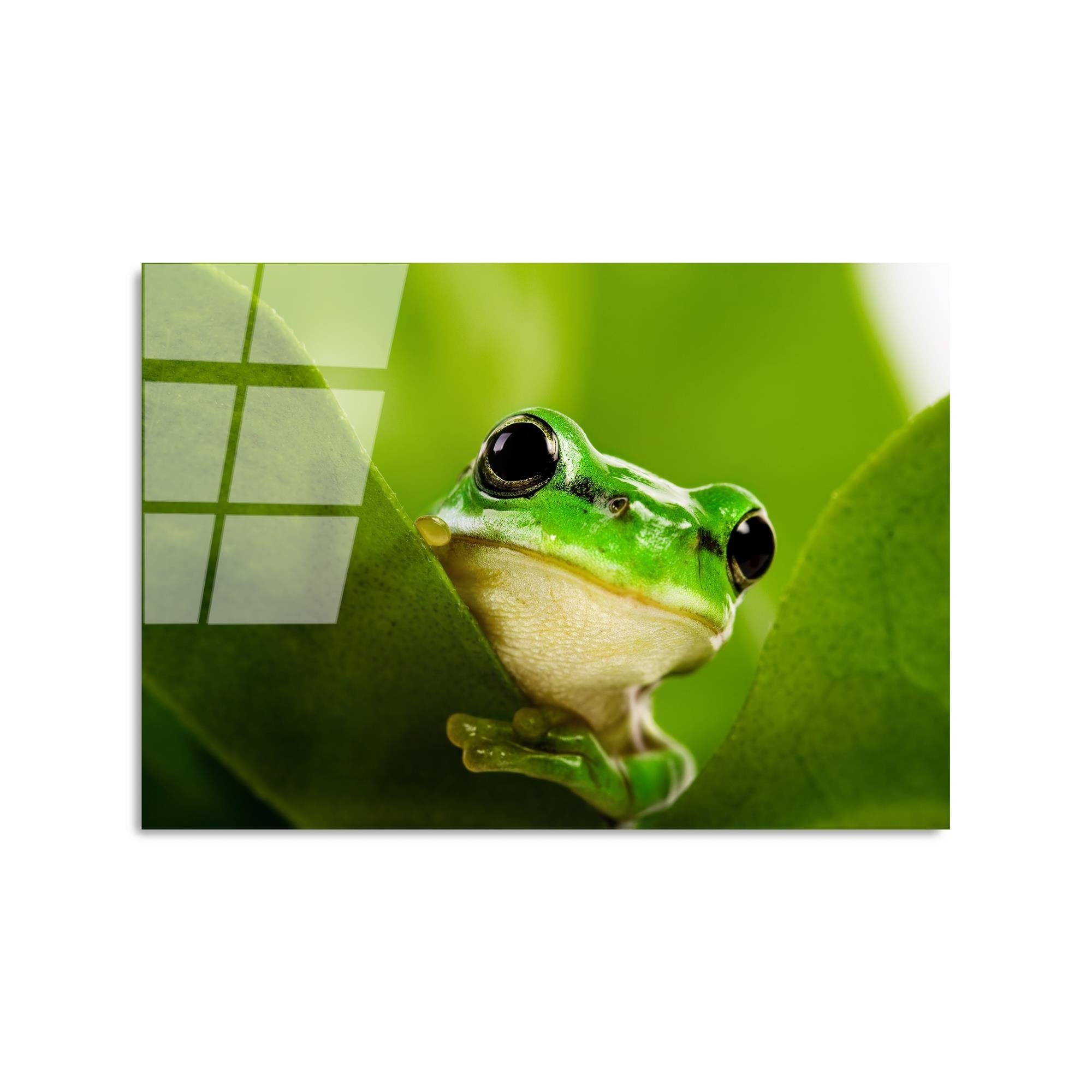 UV-271 Baskılı Cam Dikdörtgen Duvar Tablosu | ByLamp