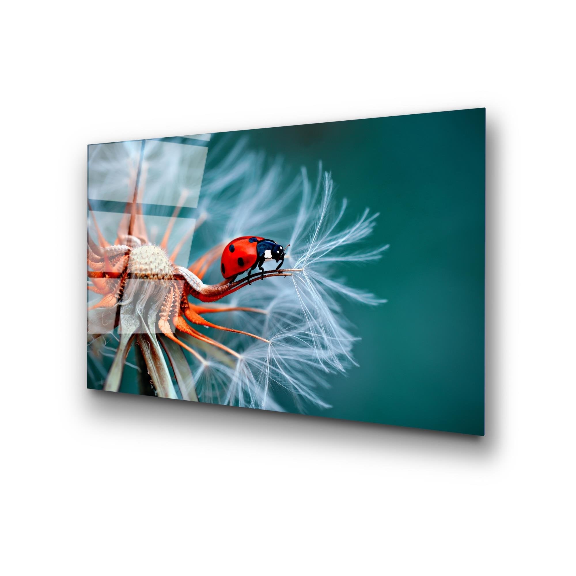 UV-277 Baskılı Cam Dikdörtgen Duvar Tablosu | ByLamp