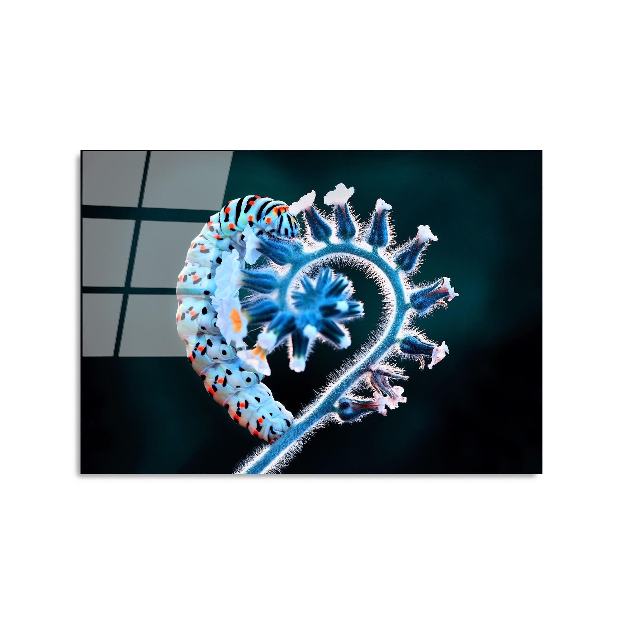 UV-283 Baskılı Cam Dikdörtgen Duvar Tablosu | ByLamp