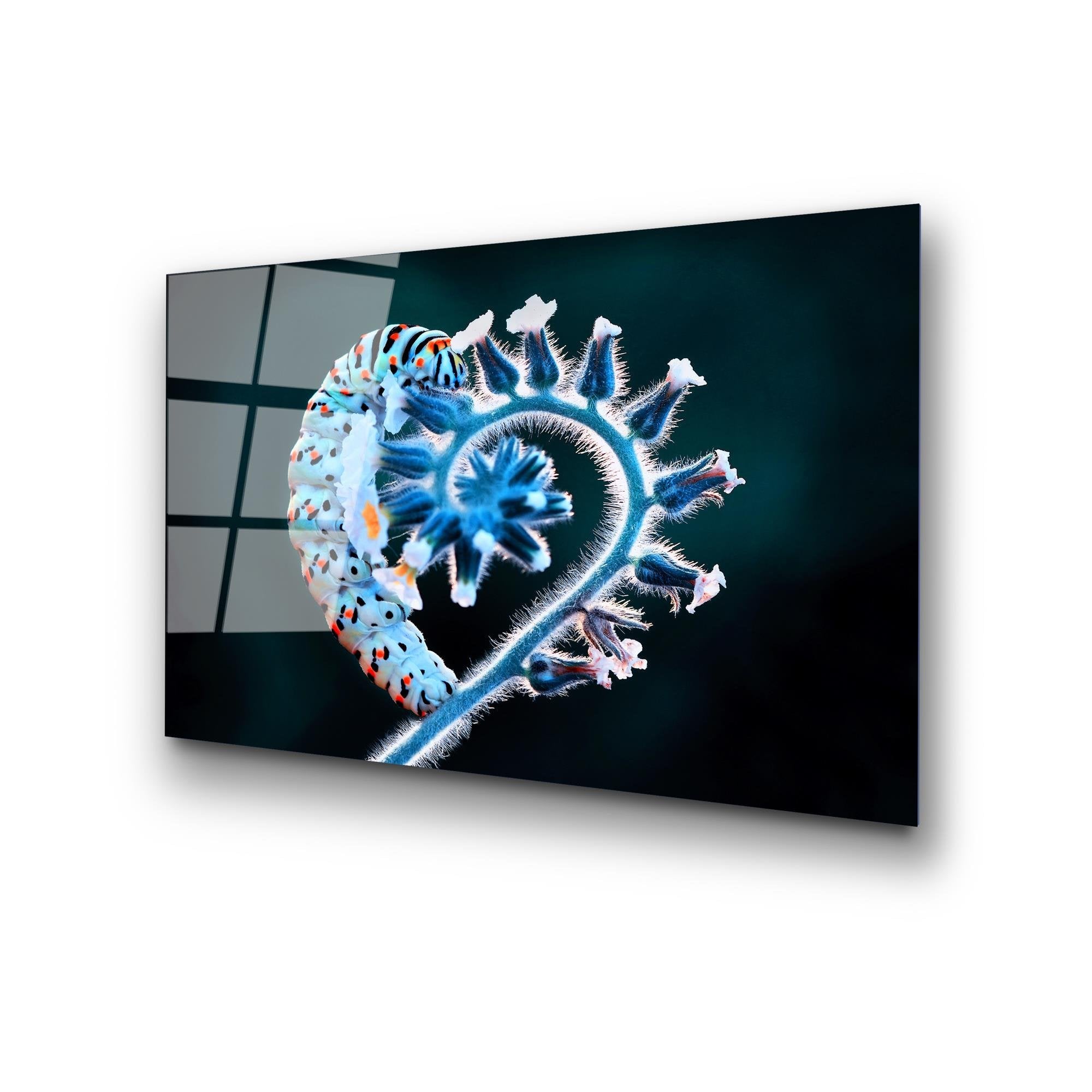 UV-283 Baskılı Cam Dikdörtgen Duvar Tablosu | ByLamp