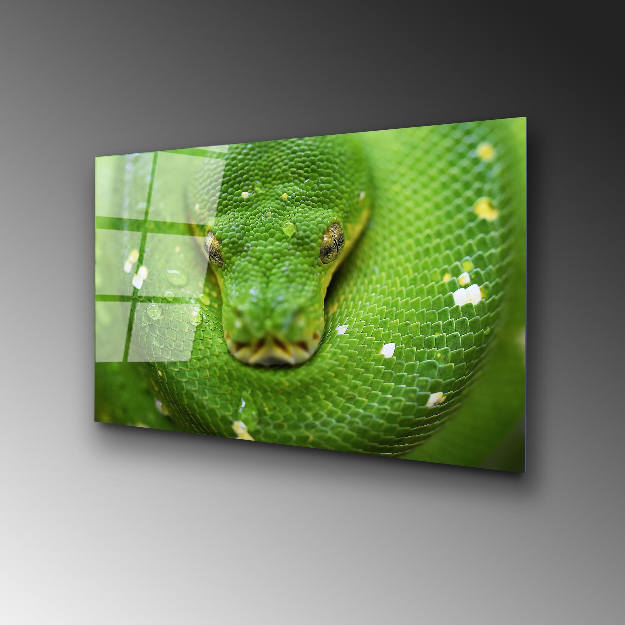 UV-287 Baskılı Cam Dikdörtgen Duvar Tablosu | ByLamp