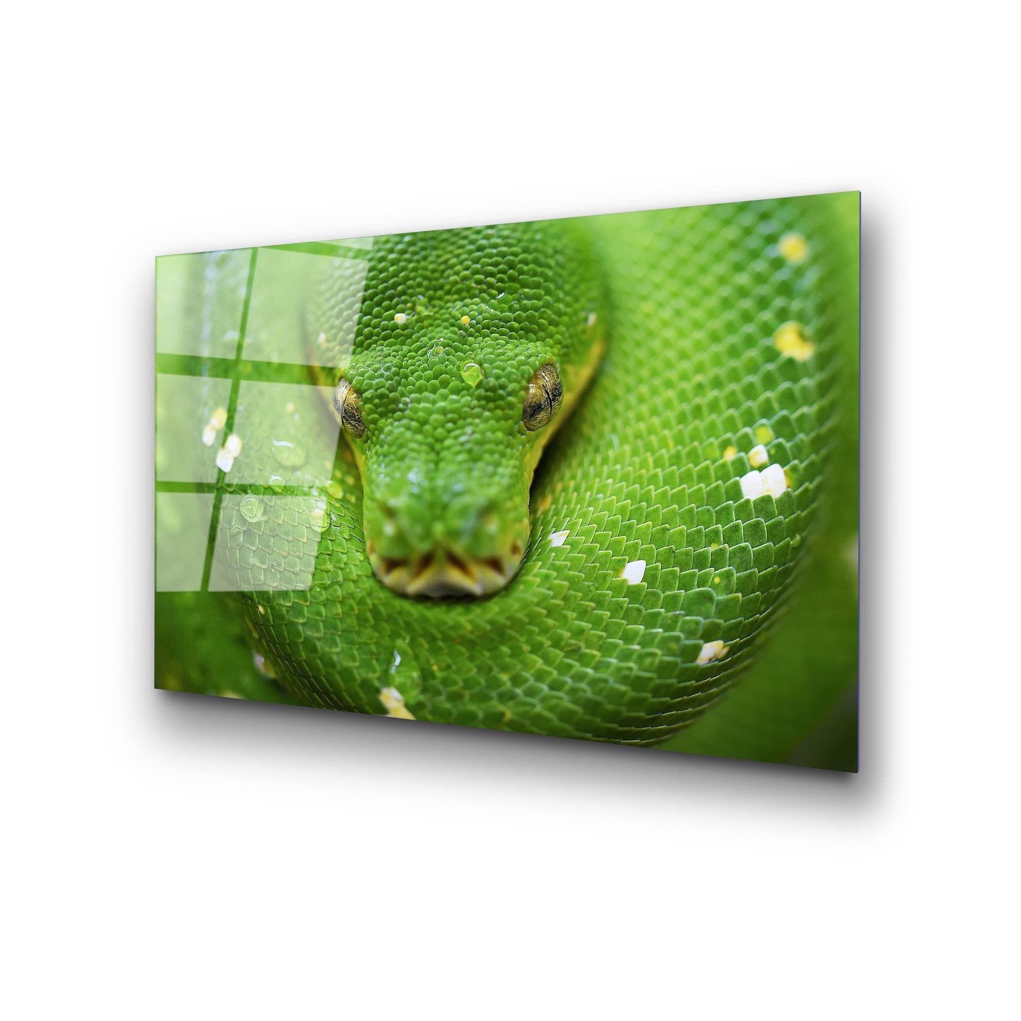 UV-287 Baskılı Cam Dikdörtgen Duvar Tablosu | ByLamp