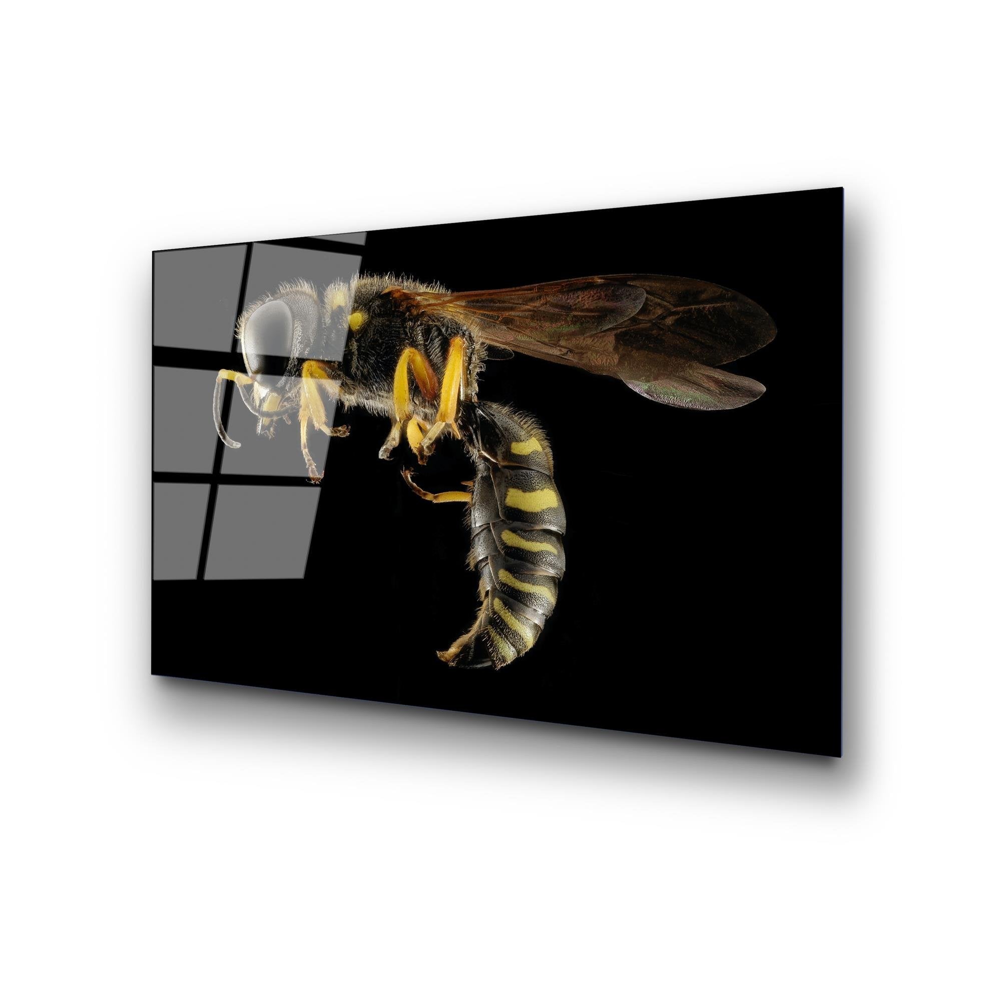 UV-292 Baskılı Cam Dikdörtgen Duvar Tablosu | ByLamp