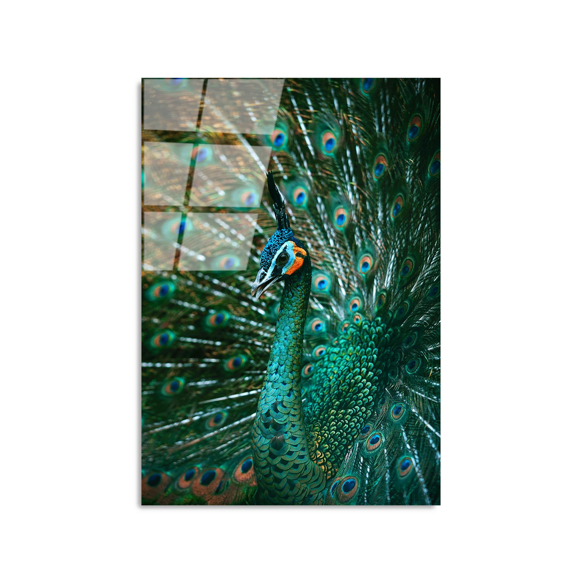 UV-299 Baskılı Cam Dikdörtgen Duvar Tablosu | ByLamp