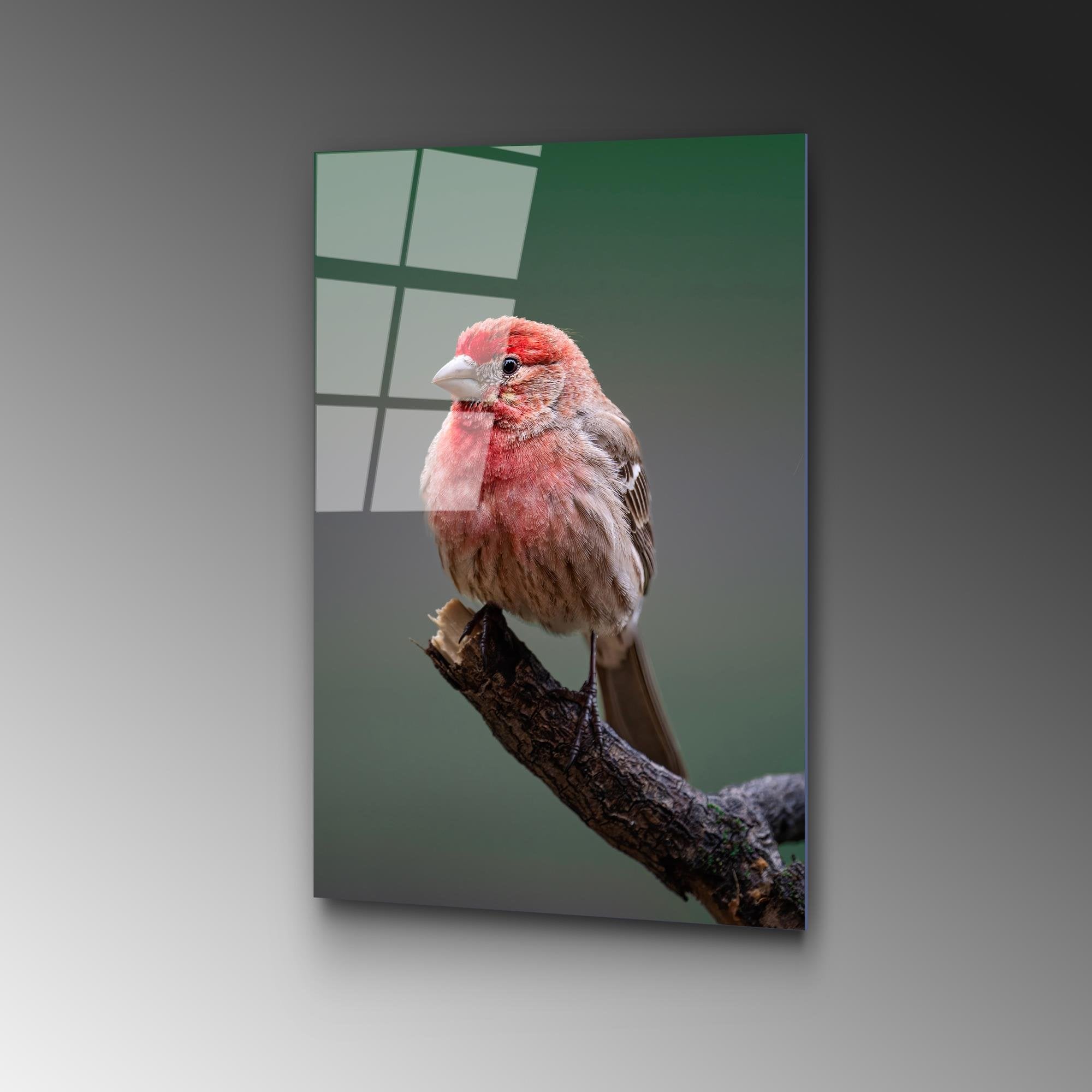 UV-300 Baskılı Cam Dikdörtgen Duvar Tablosu | ByLamp