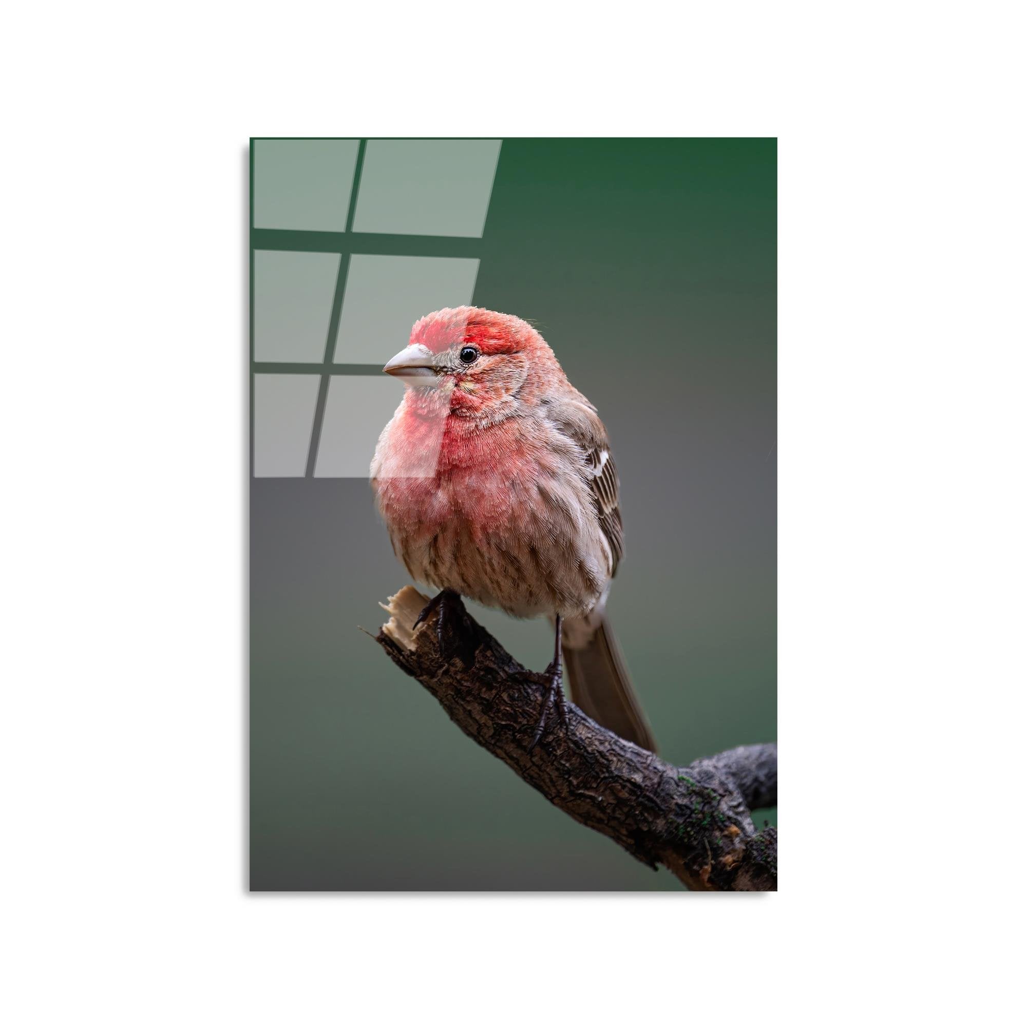 UV-300 Baskılı Cam Dikdörtgen Duvar Tablosu | ByLamp