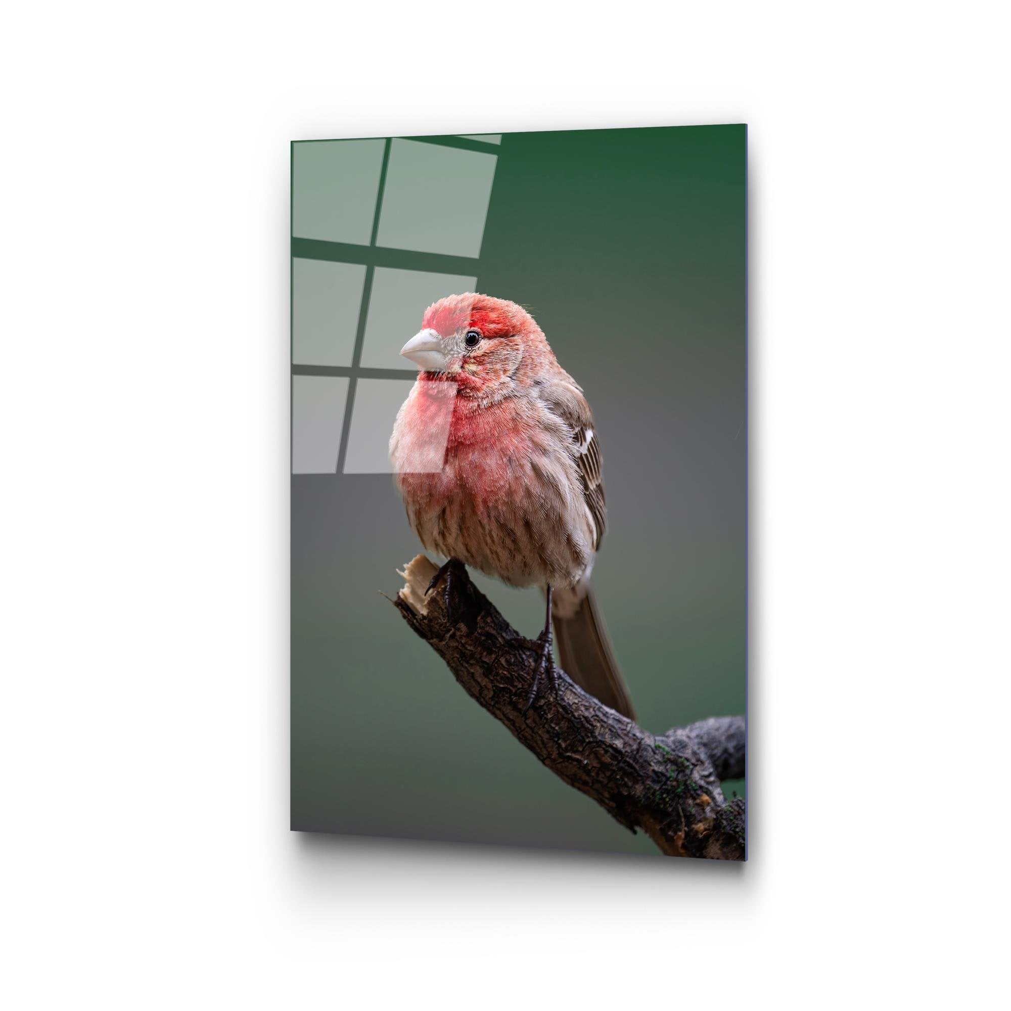 UV-300 Baskılı Cam Dikdörtgen Duvar Tablosu | ByLamp