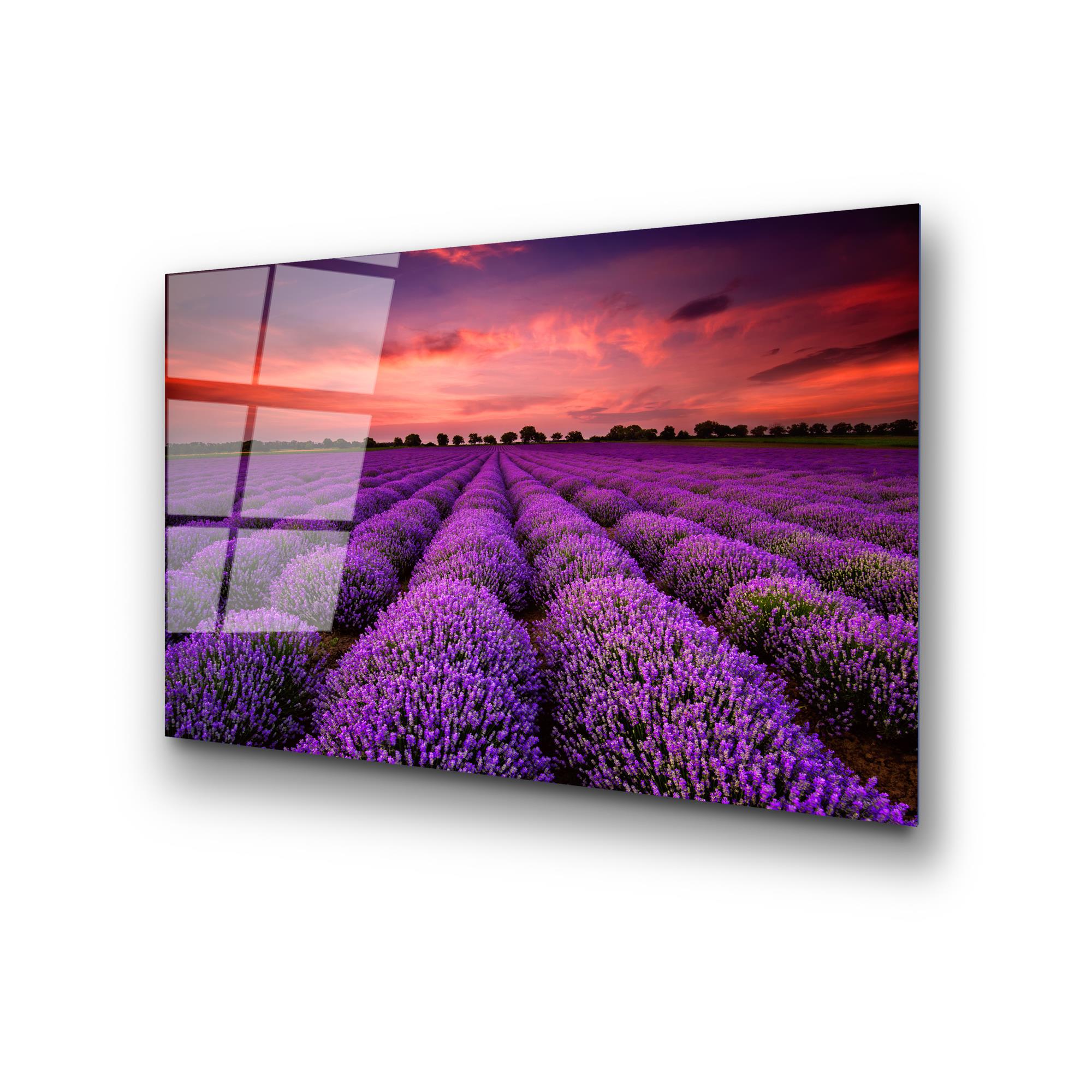 UV-301 Baskılı Cam Dikdörtgen Duvar Tablosu | ByLamp