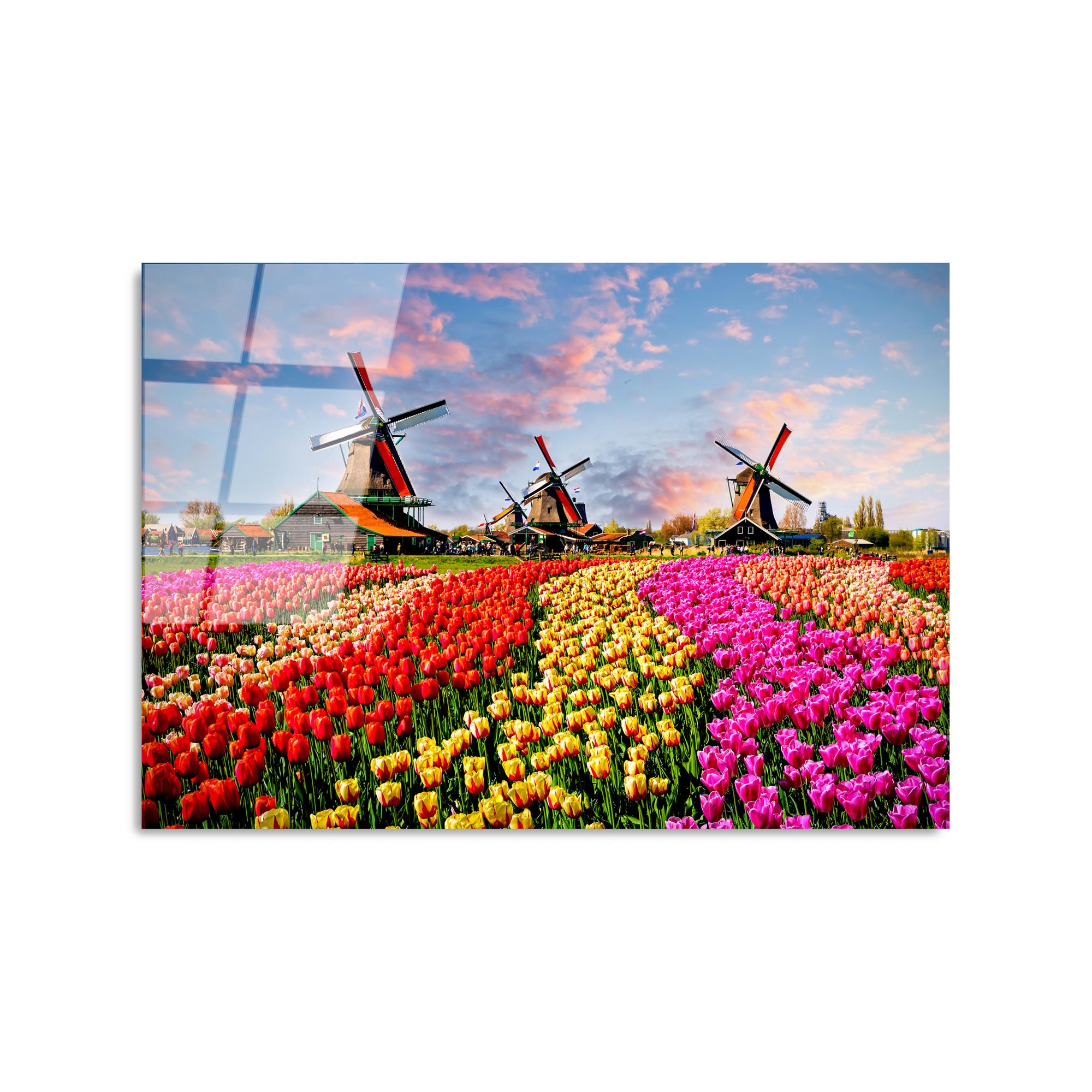 UV-308 Baskılı Cam Dikdörtgen Duvar Tablosu | ByLamp