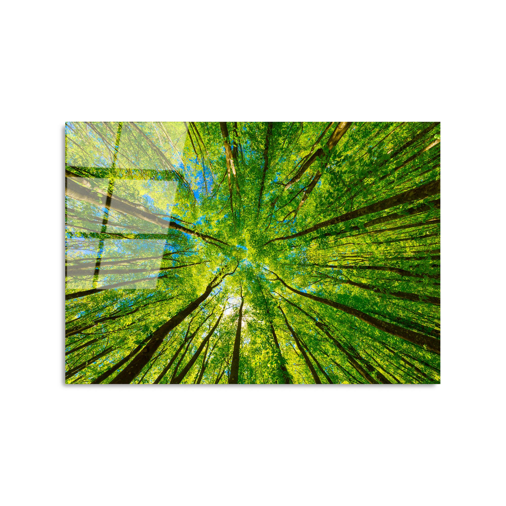 UV-319 Baskılı Cam Dikdörtgen Duvar Tablosu | ByLamp