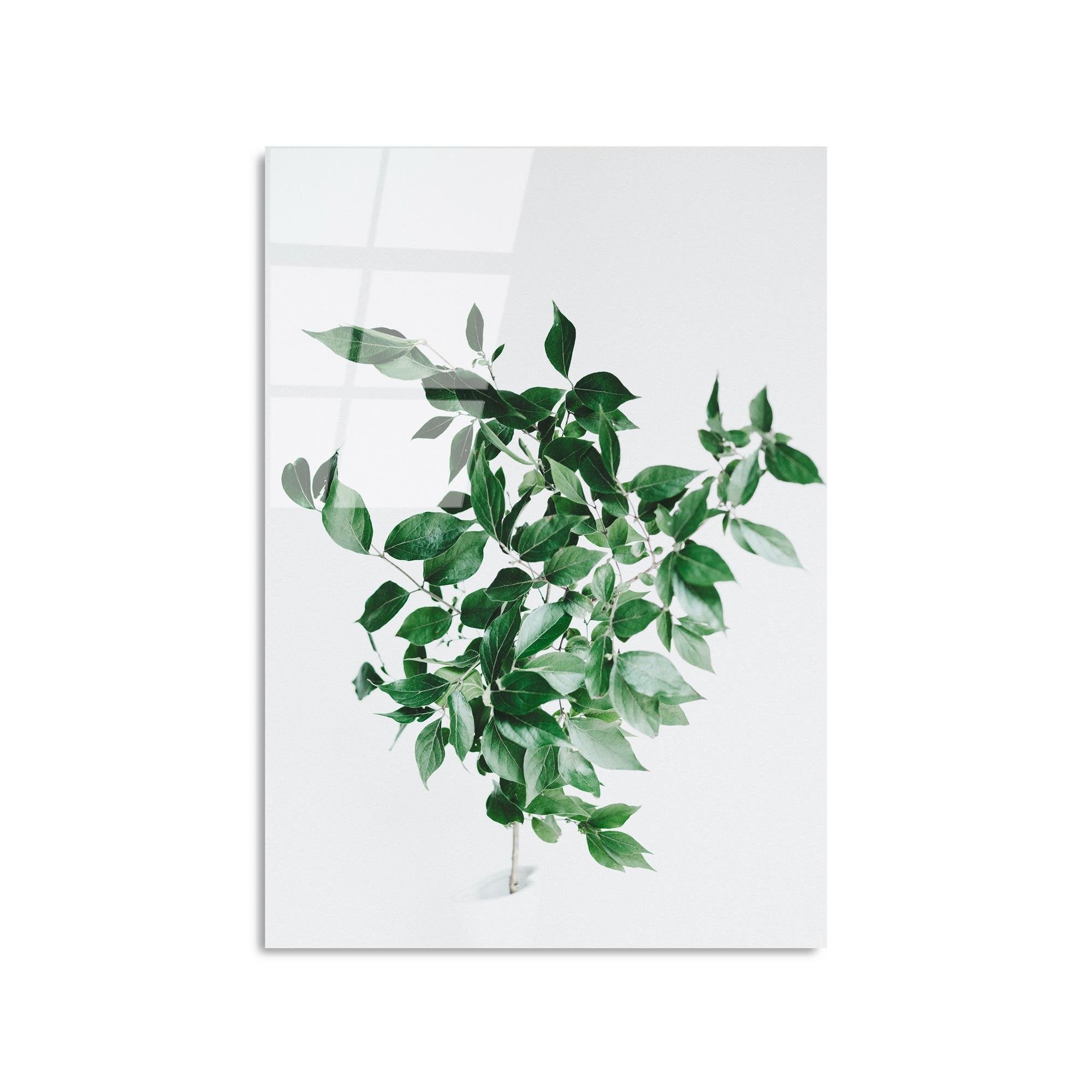 UV-414 Baskılı Cam Dikdörtgen Duvar Tablosu | ByLamp