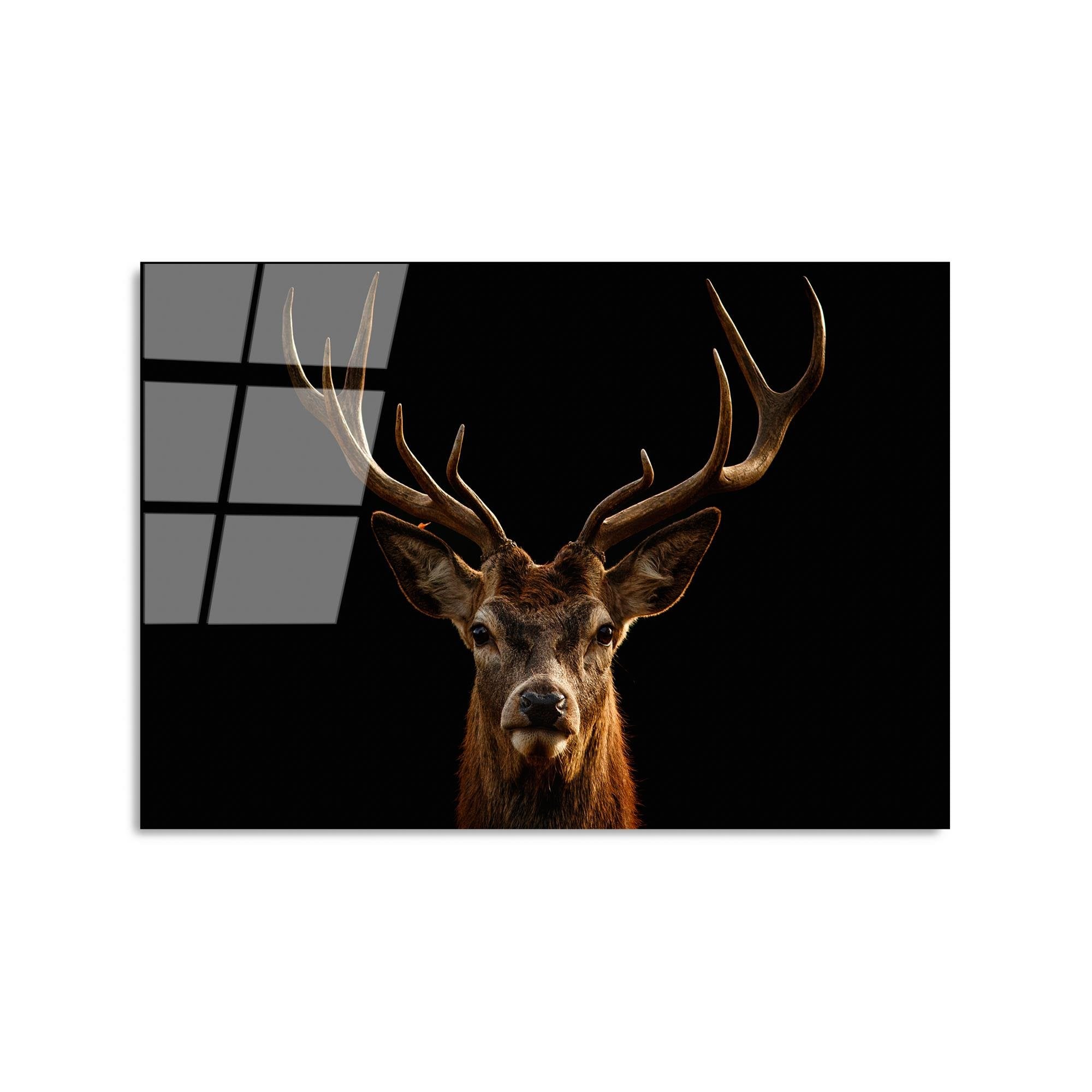 UV-438 Baskılı Cam Dikdörtgen Duvar Tablosu | ByLamp