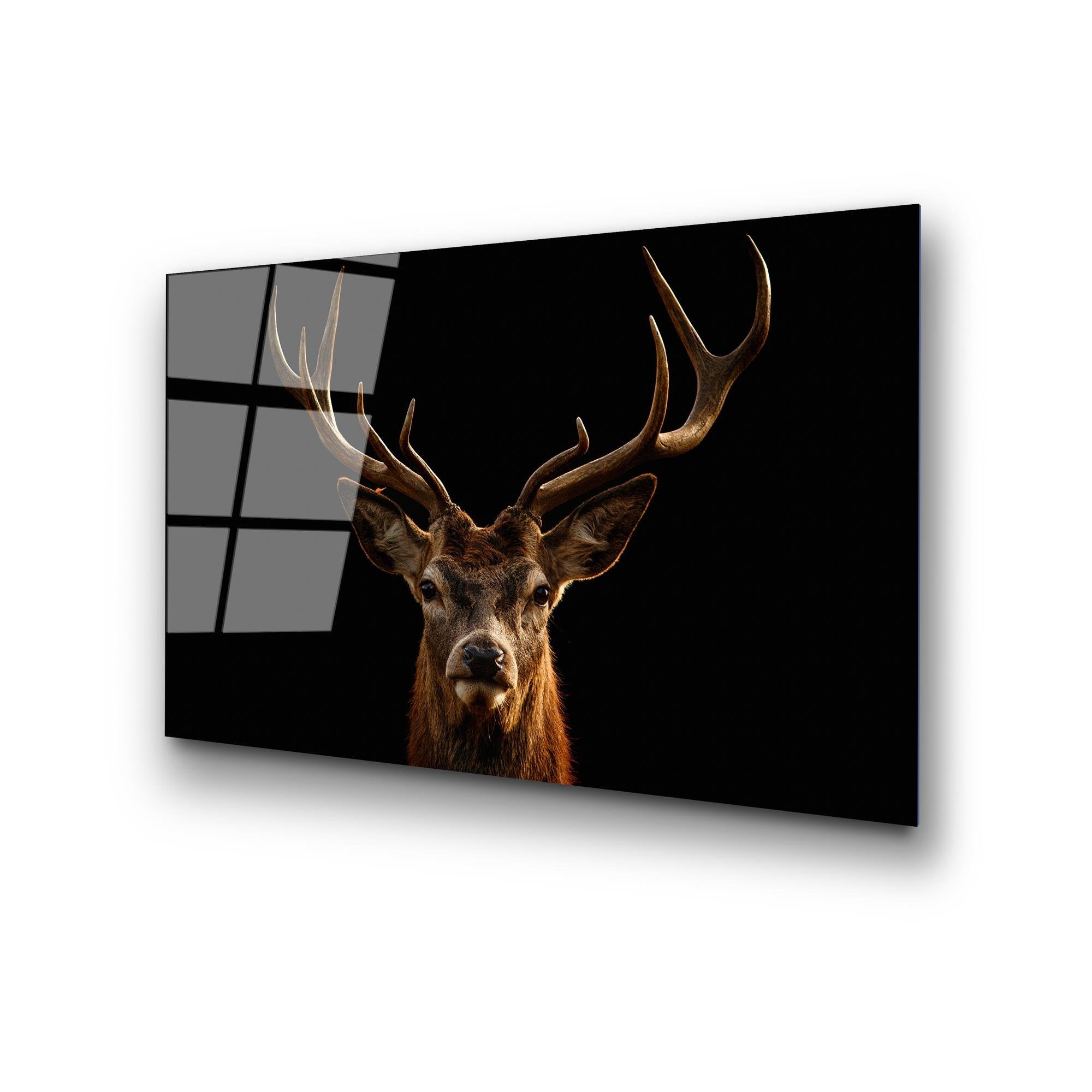 UV-438 Baskılı Cam Dikdörtgen Duvar Tablosu | ByLamp