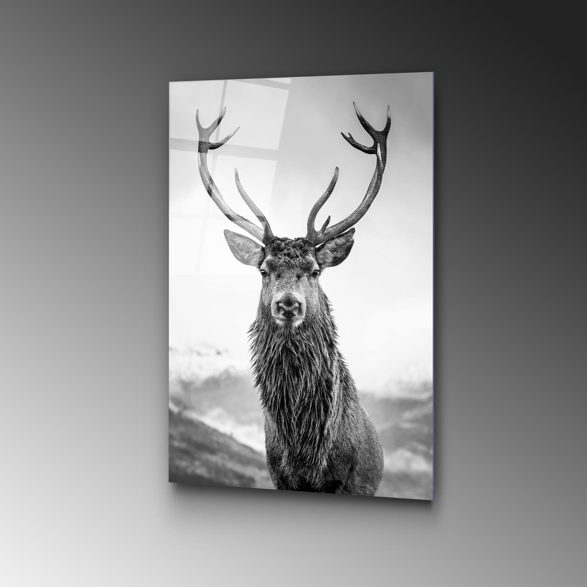 UV-455 Baskılı Cam Dikdörtgen Duvar Tablosu | ByLamp