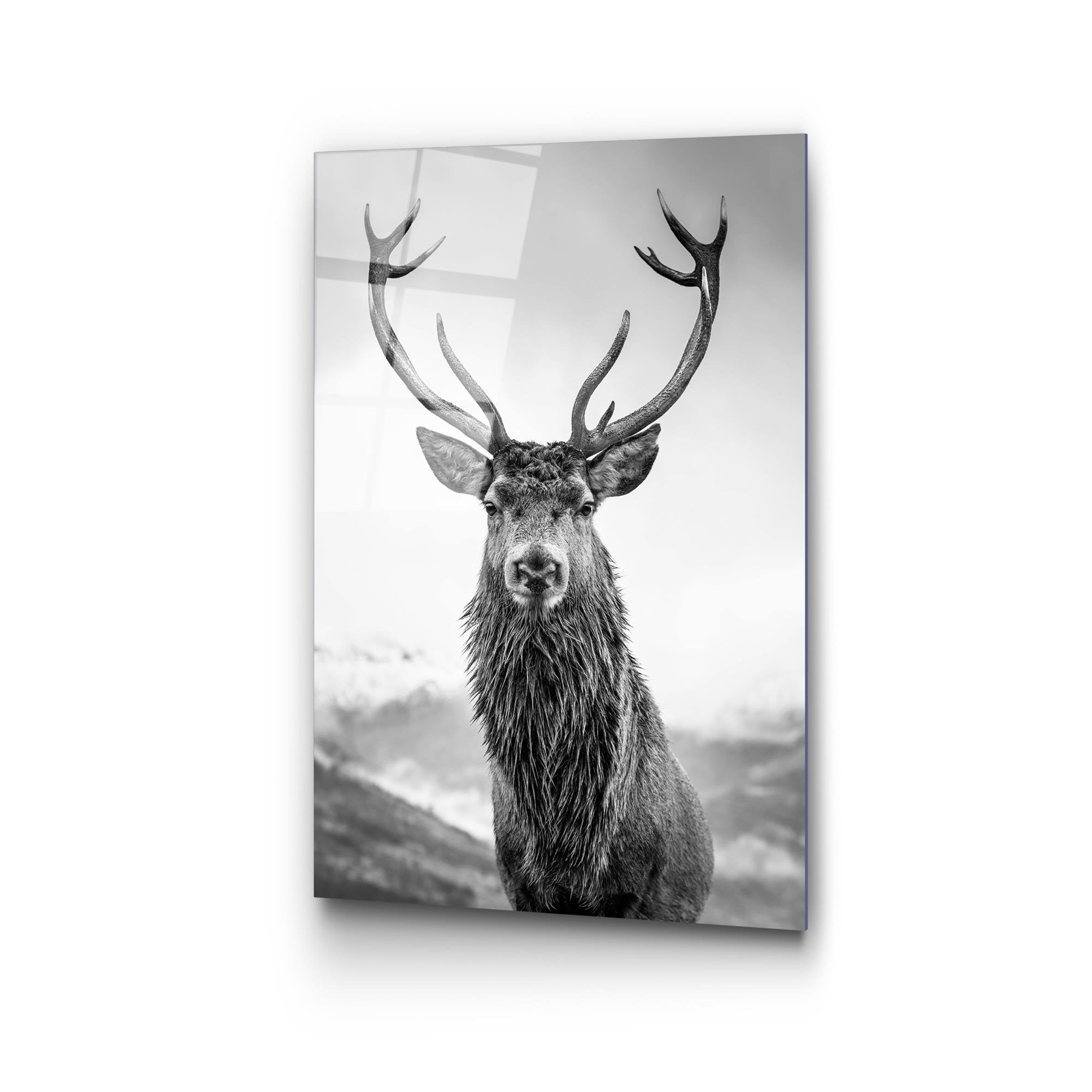 UV-455 Baskılı Cam Dikdörtgen Duvar Tablosu | ByLamp