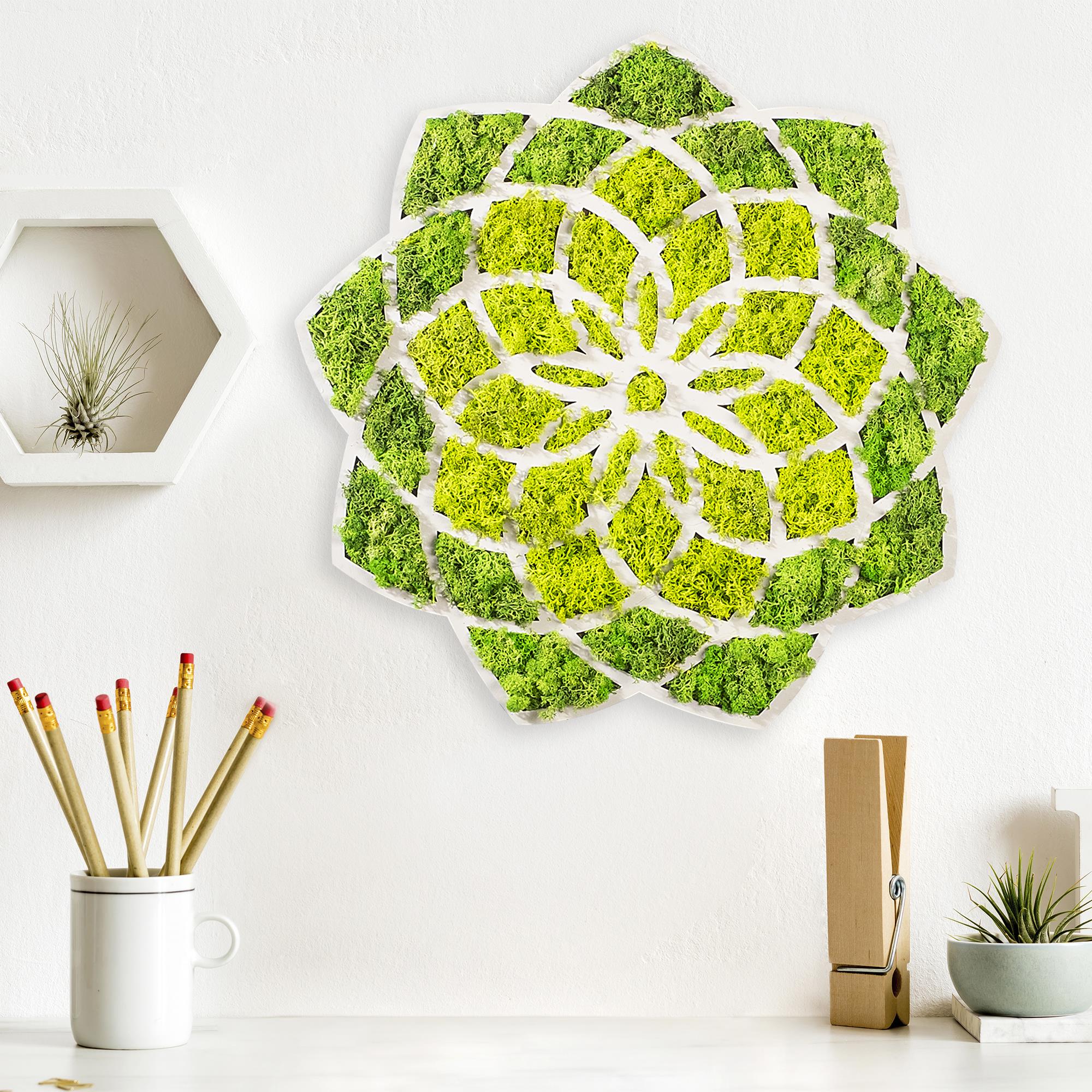 YNS-005 Dekoratif Yosun Duvar Tablosu | ByLamp