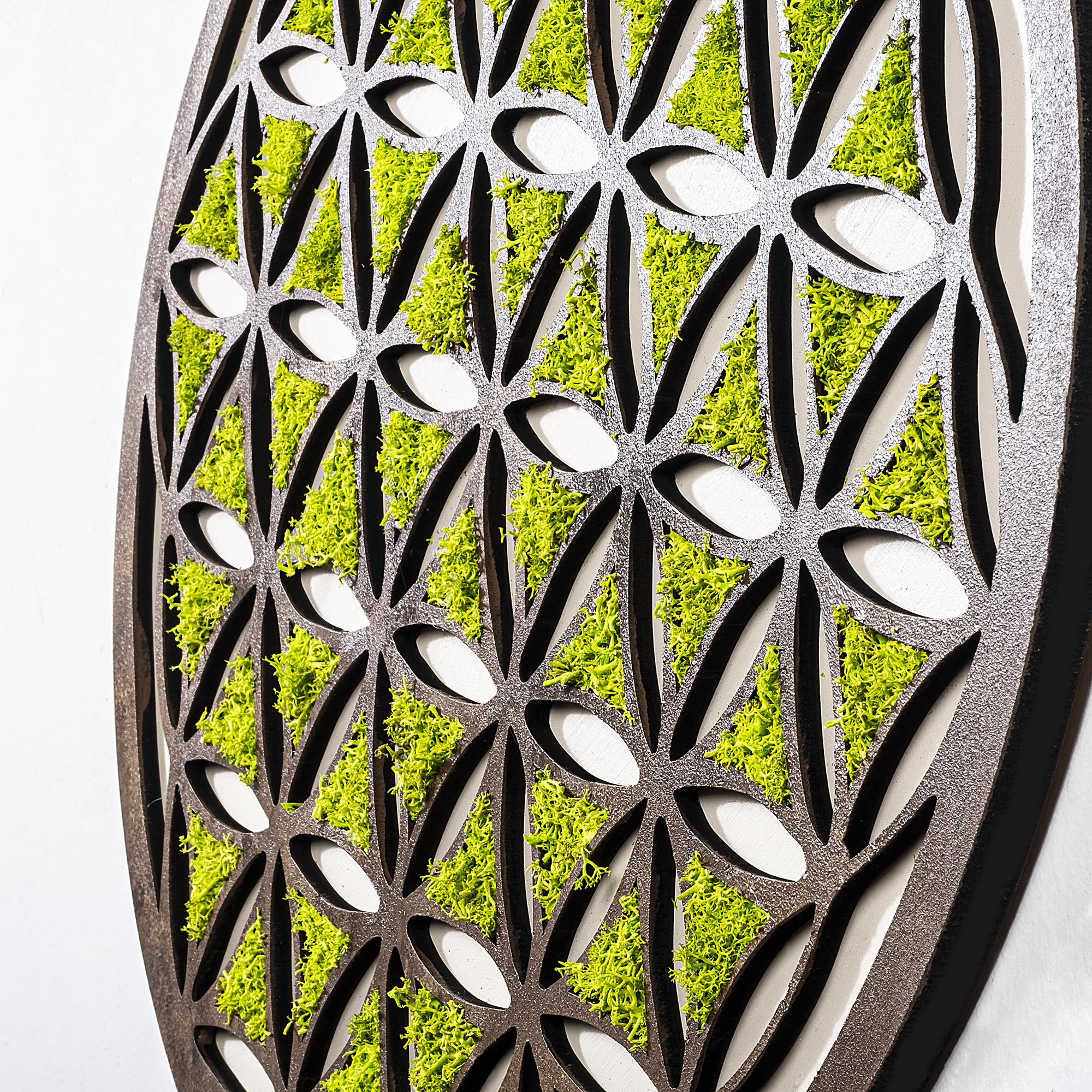 YNS-007 Dekoratif Yosun Duvar Tablosu | ByLamp