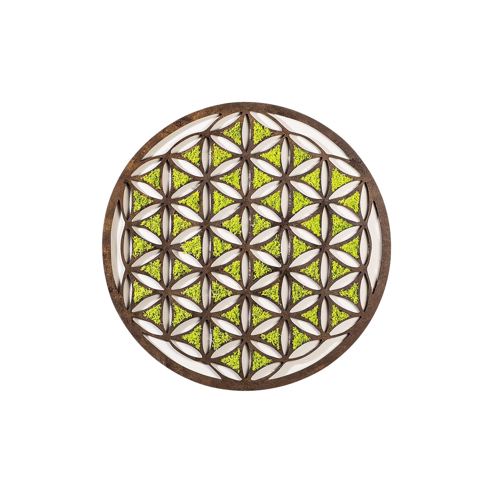 YNS-007 Dekoratif Yosun Duvar Tablosu | ByLamp