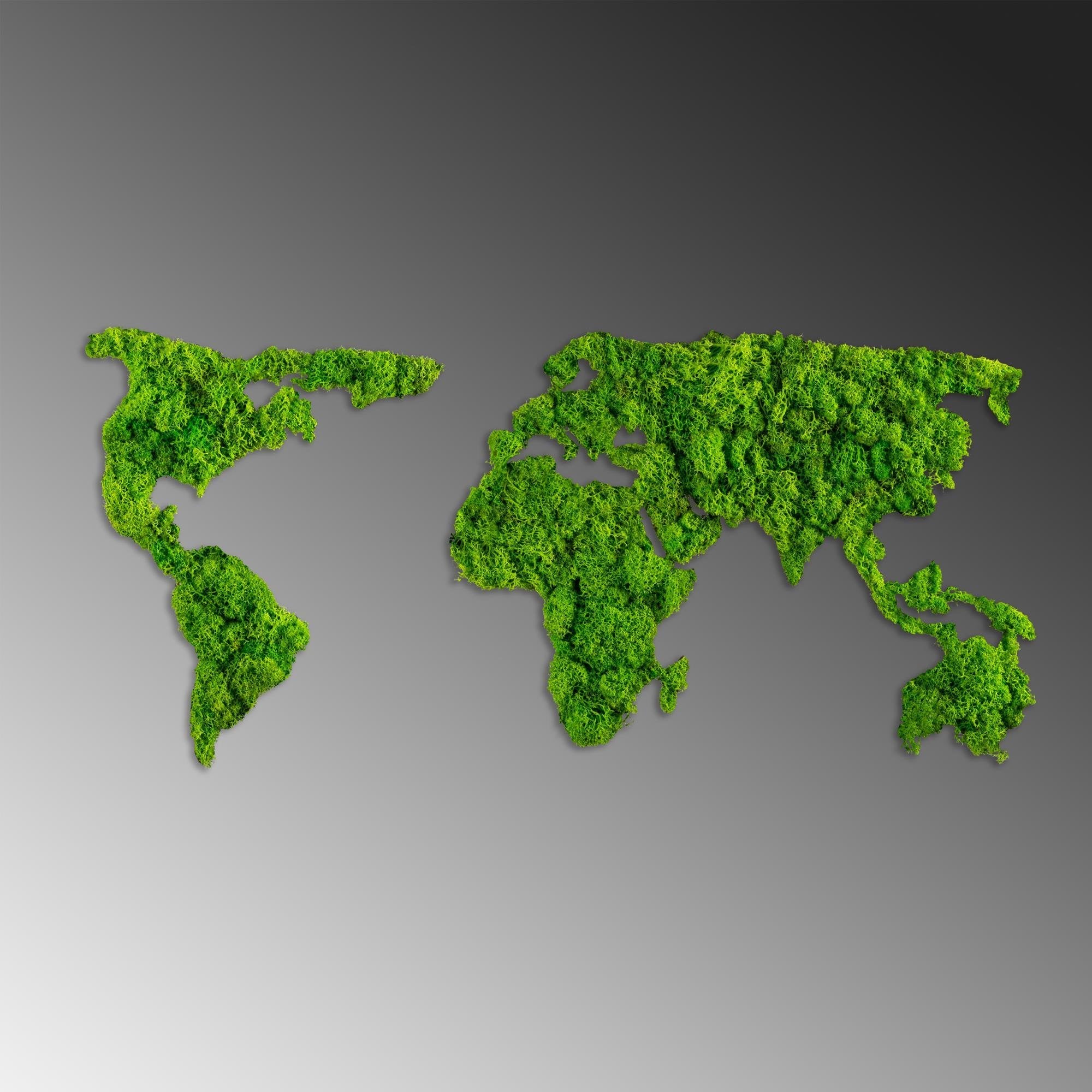 YNS-017 Dekoratif Yosun Duvar Tablosu | ByLamp