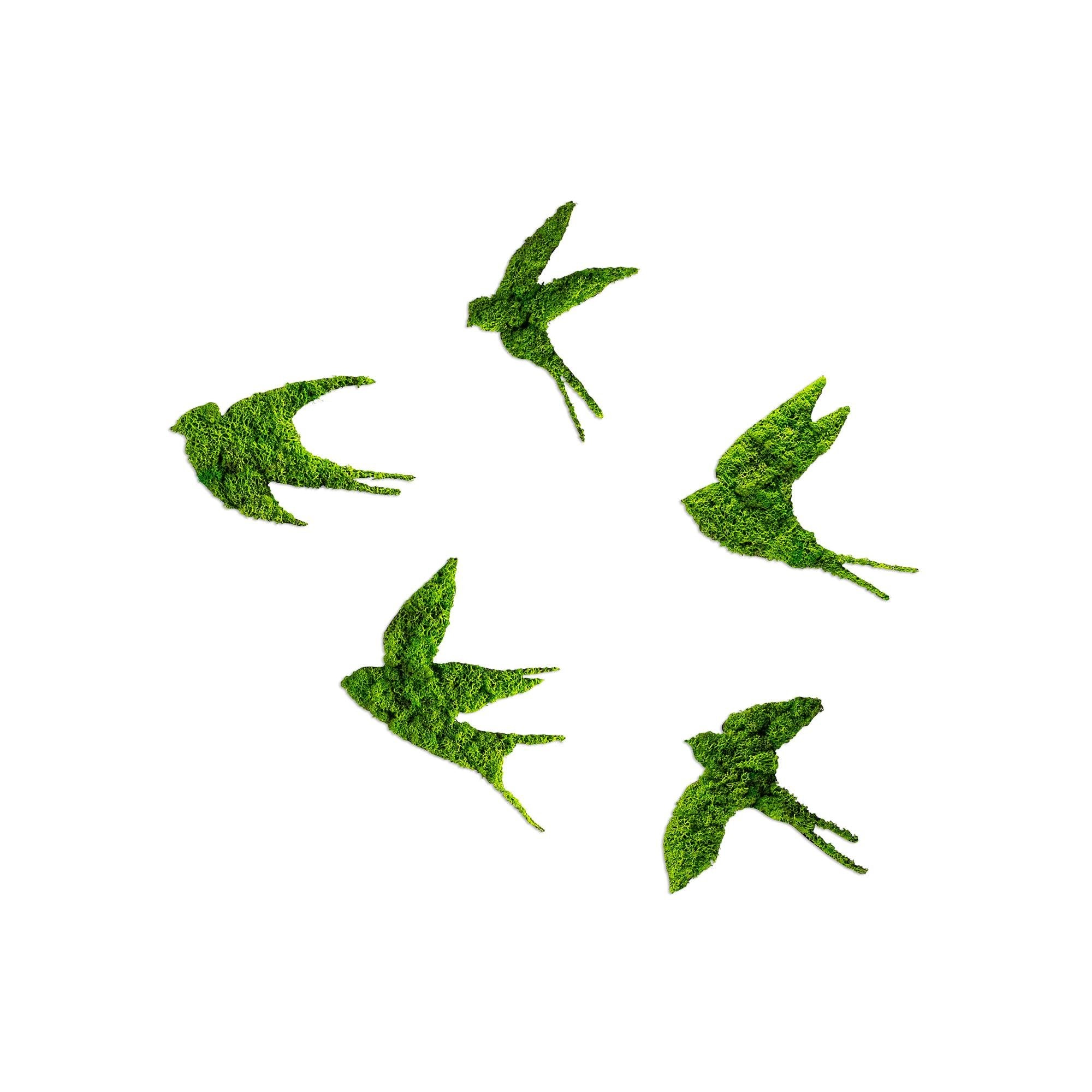 YNS-018 Dekoratif Yosun Duvar Tablosu | ByLamp