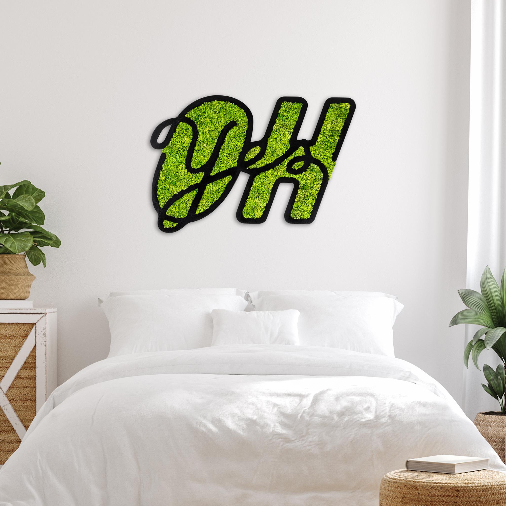 YNS-023 Dekoratif Yosun Duvar Tablosu | ByLamp