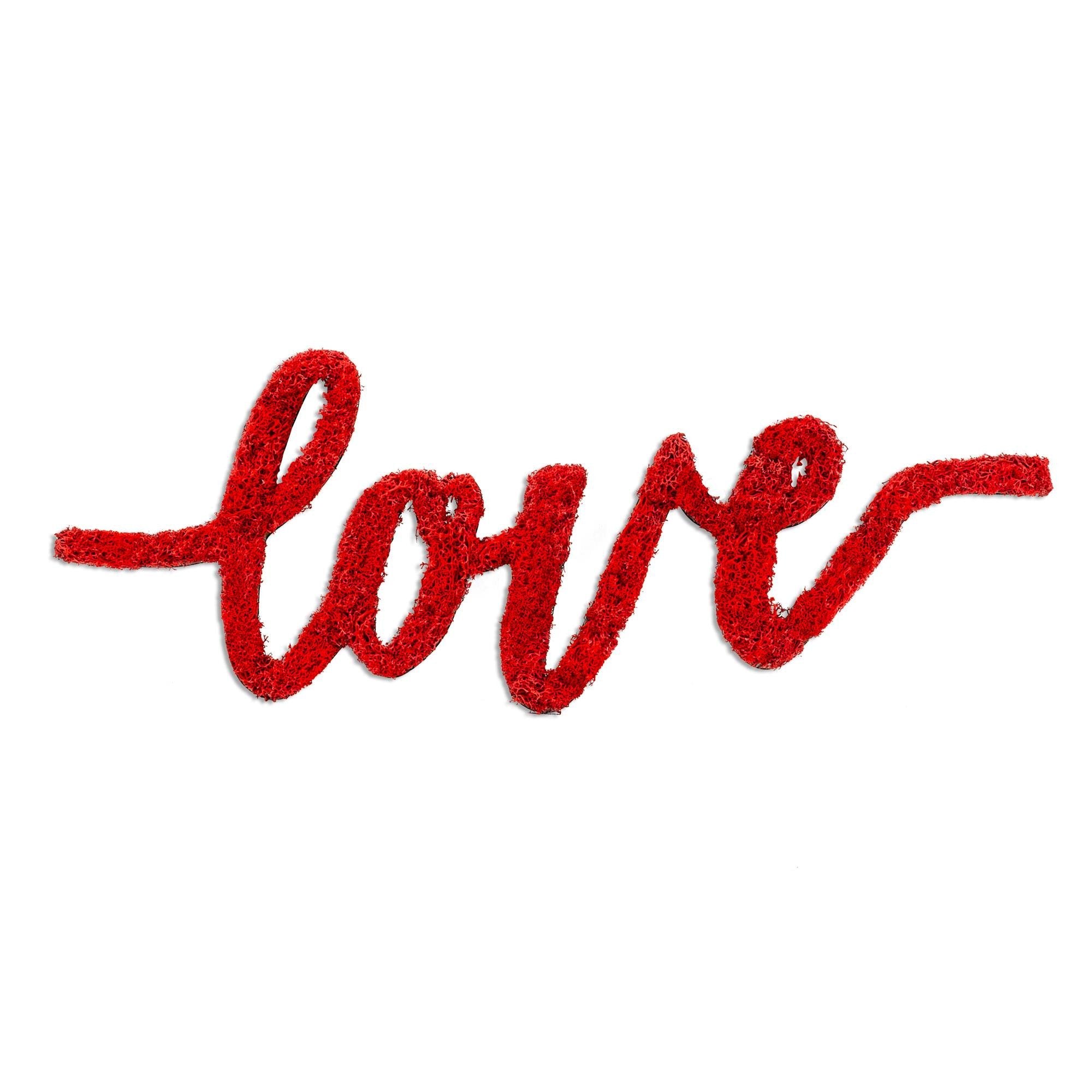 YNS-031 Dekoratif Yosun Duvar Tablosu | ByLamp