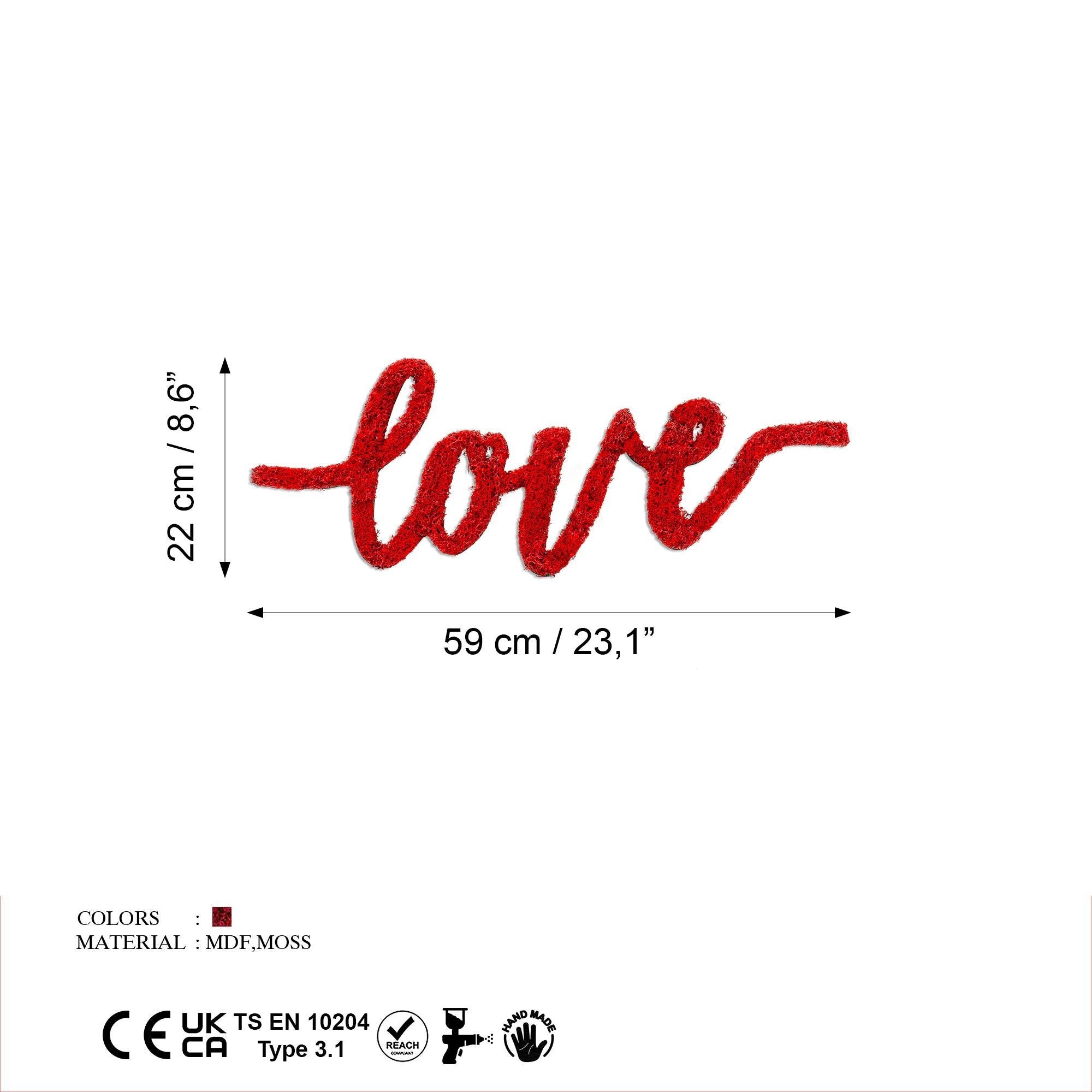 YNS-031 Dekoratif Yosun Duvar Tablosu | ByLamp