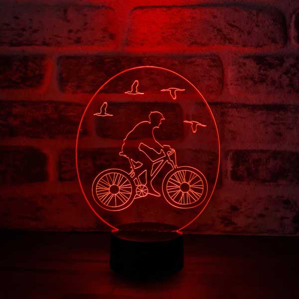 3D Bicycle & Bird Lamp