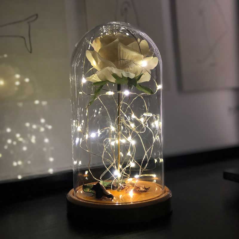 White Rose Illuminated Glass Fanus Lamp