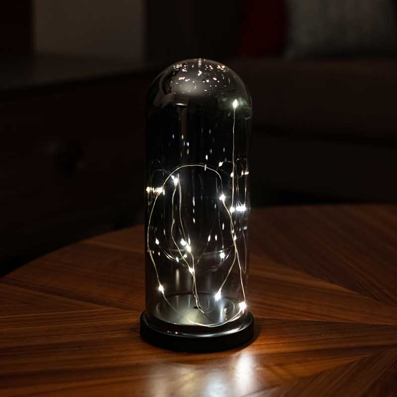 Decorative illuminated smoked glass color fanus lamp