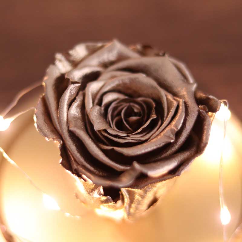 Illuminated Glass Fanus Gold Fading Rose Lamp