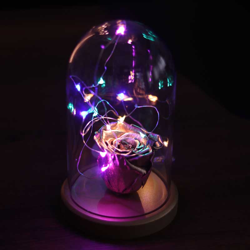 Illuminated Glass Fanus Gold Fading Rose Lamp