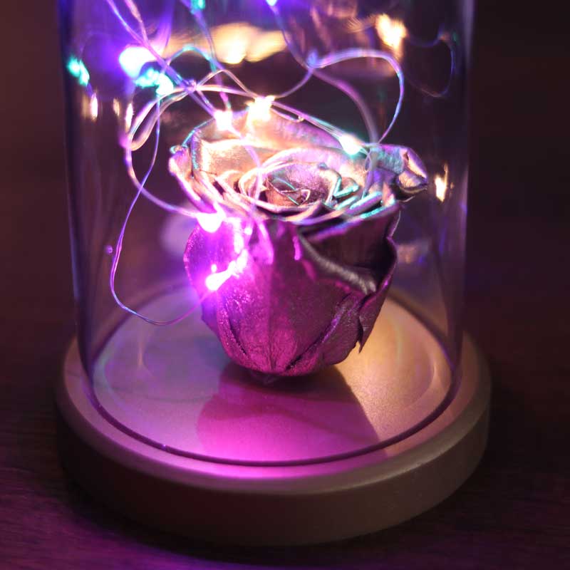 Illuminated Glass Fanus Gold Fading Rose Lamp