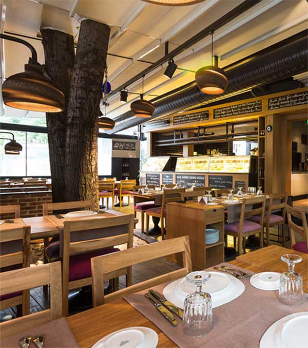 Tulip Sarkıt Aydınlatma | ByLamp