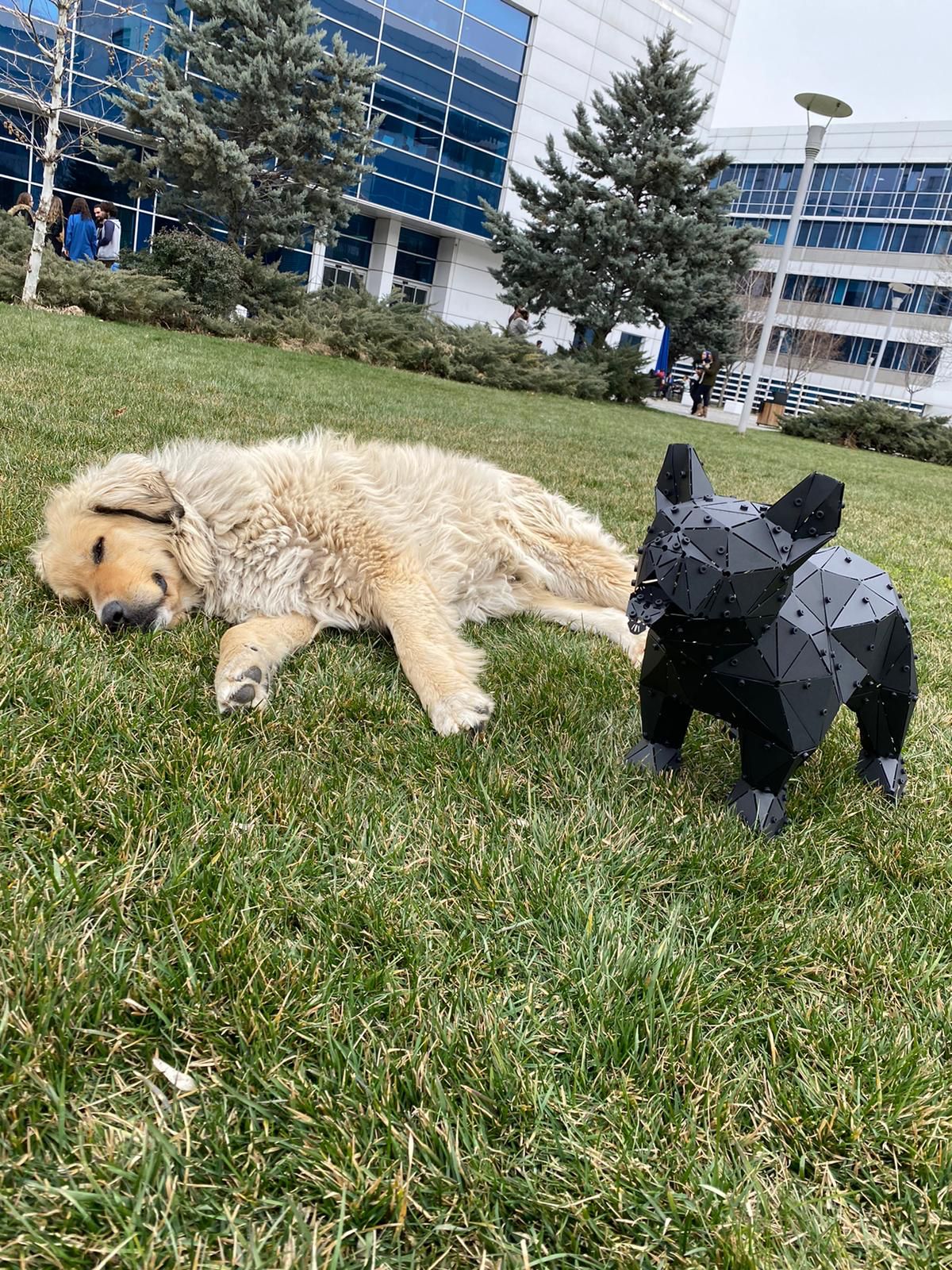 3D Metal Geometrik El Yapımı French Bulldog Heykeli | ByLamp