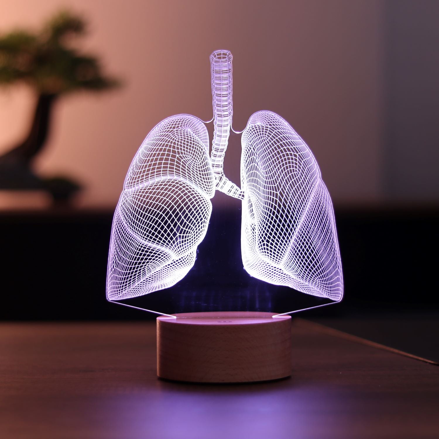 Lung Figured Decorative Gift Led Table Lamp | BYLAMP