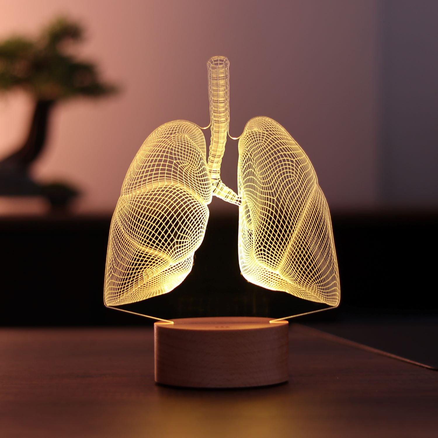 Lung Figured Decorative Gift Led Table Lamp | BYLAMP