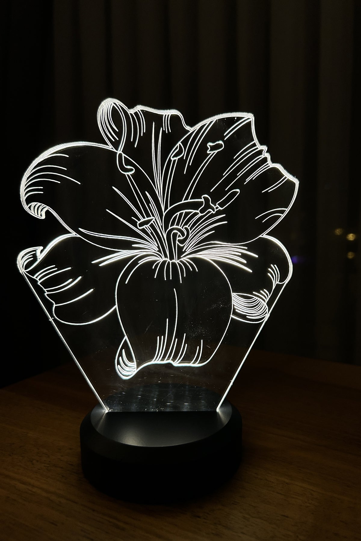 3-D LOUSE LED Lamp