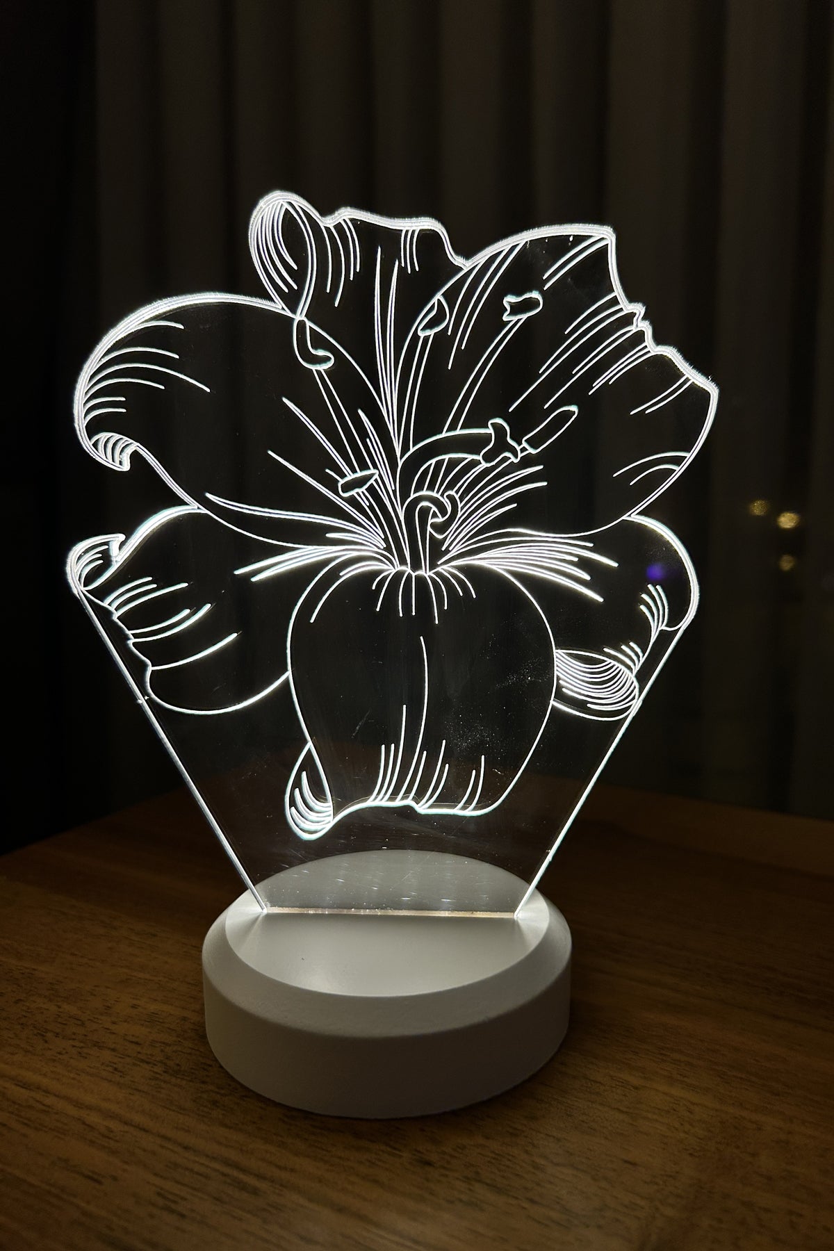 3-D LOUSE LED Lamp