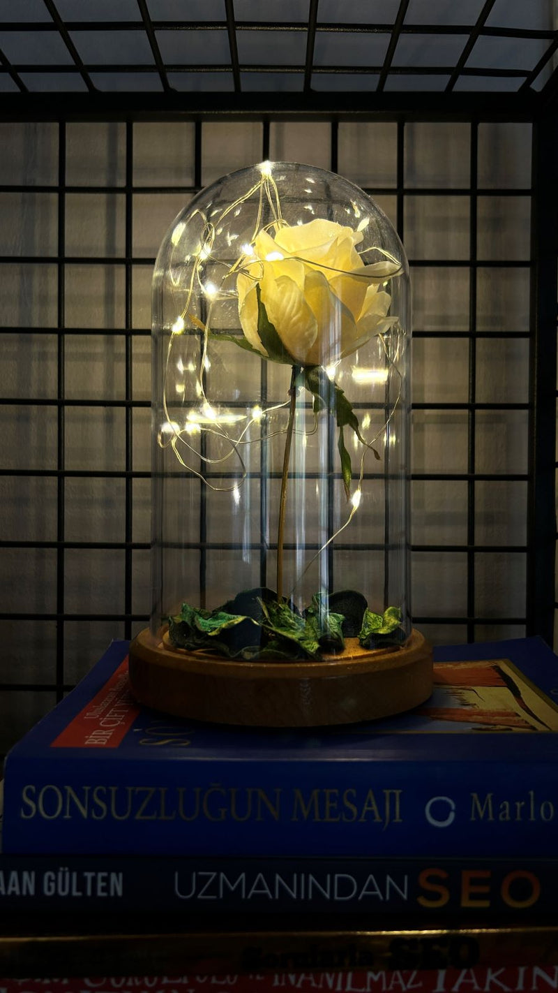 White Rose Illuminated Glass Fanus Lamp