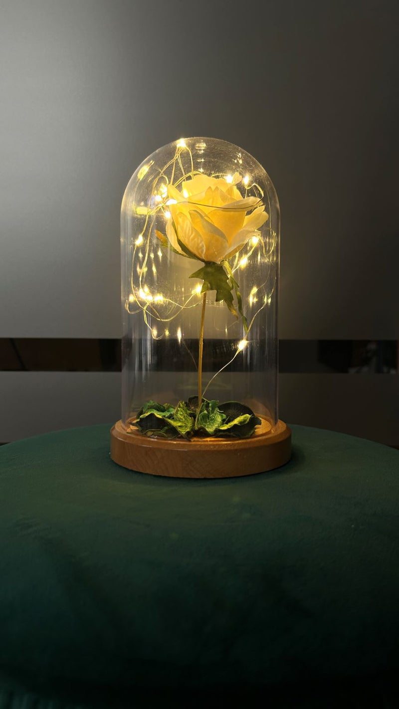 White Rose Illuminated Glass Fanus Lamp