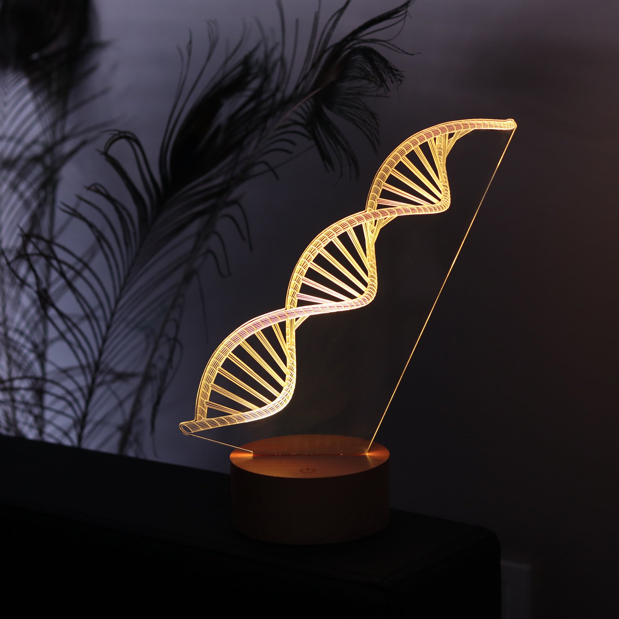 DNA Double Helix Figured Decorative Gift Led Table Lamp | BYLAMP