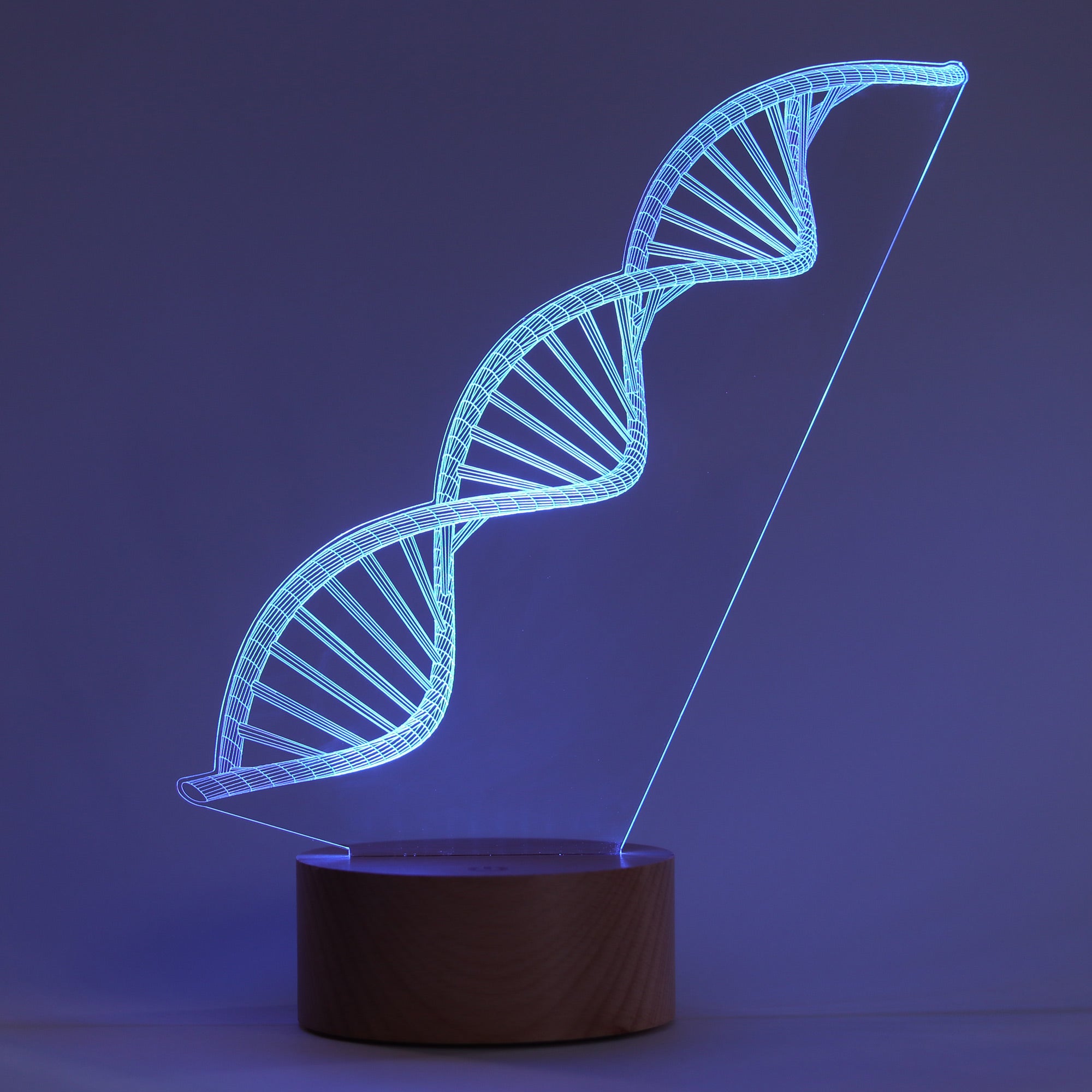 DNA Double Helix Figured Decorative Gift Led Table Lamp | BYLAMP