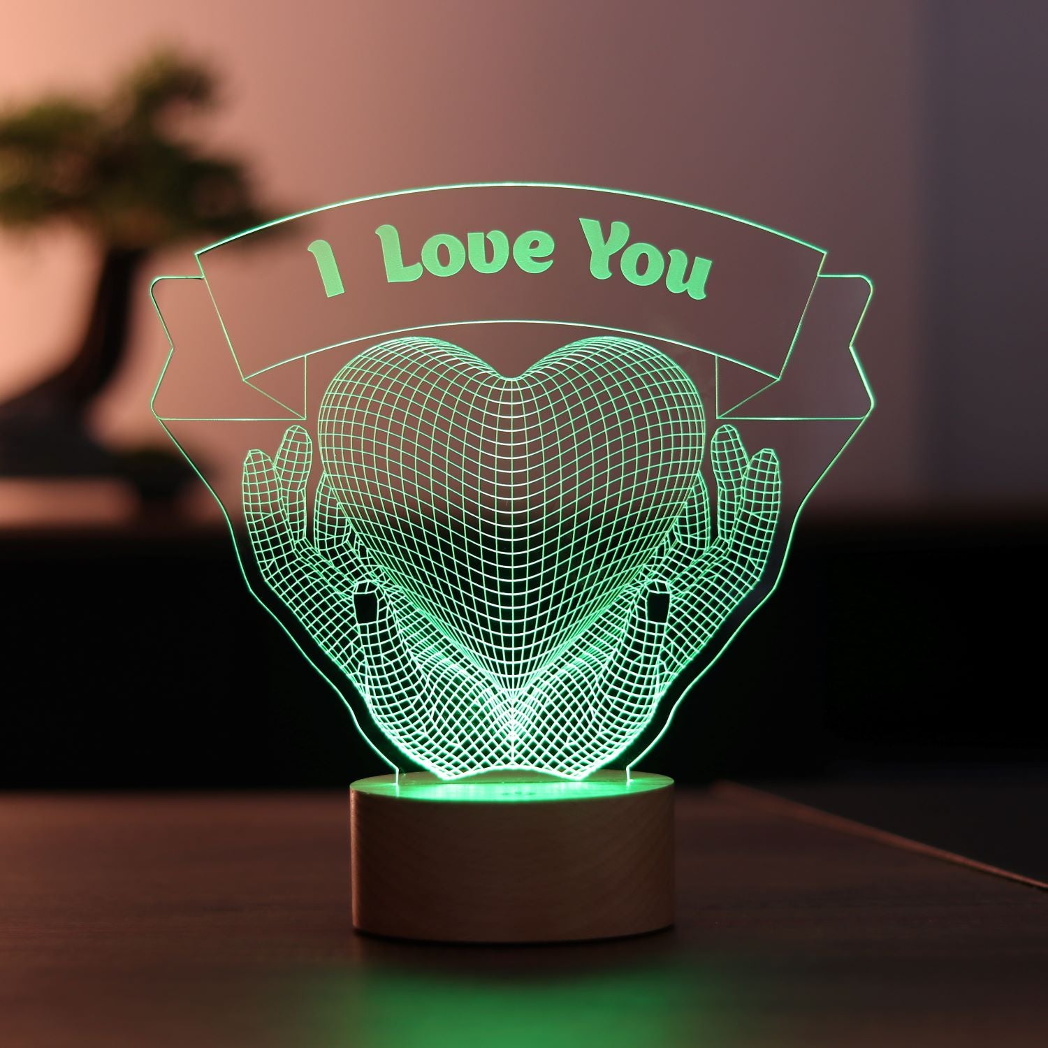 3D Heart Hands Gift LED Lamp