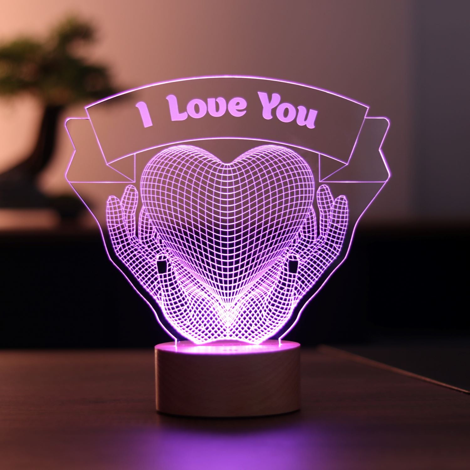 3D Heart Hands Gift LED Lamp