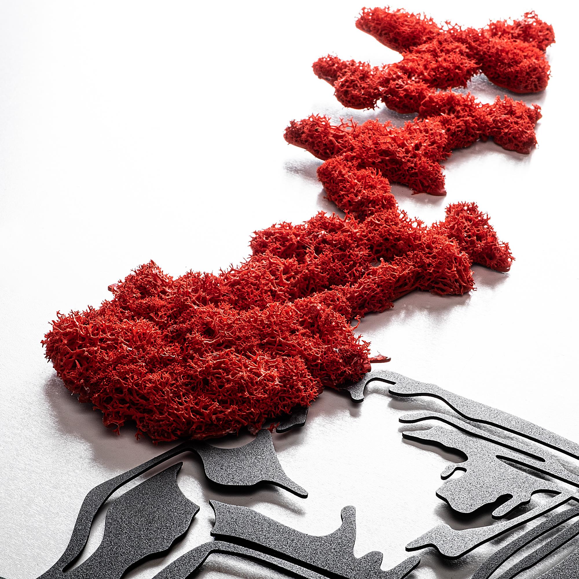 MODEL-427-A Dekoratif Yosun Duvar Tablosu | ByLamp