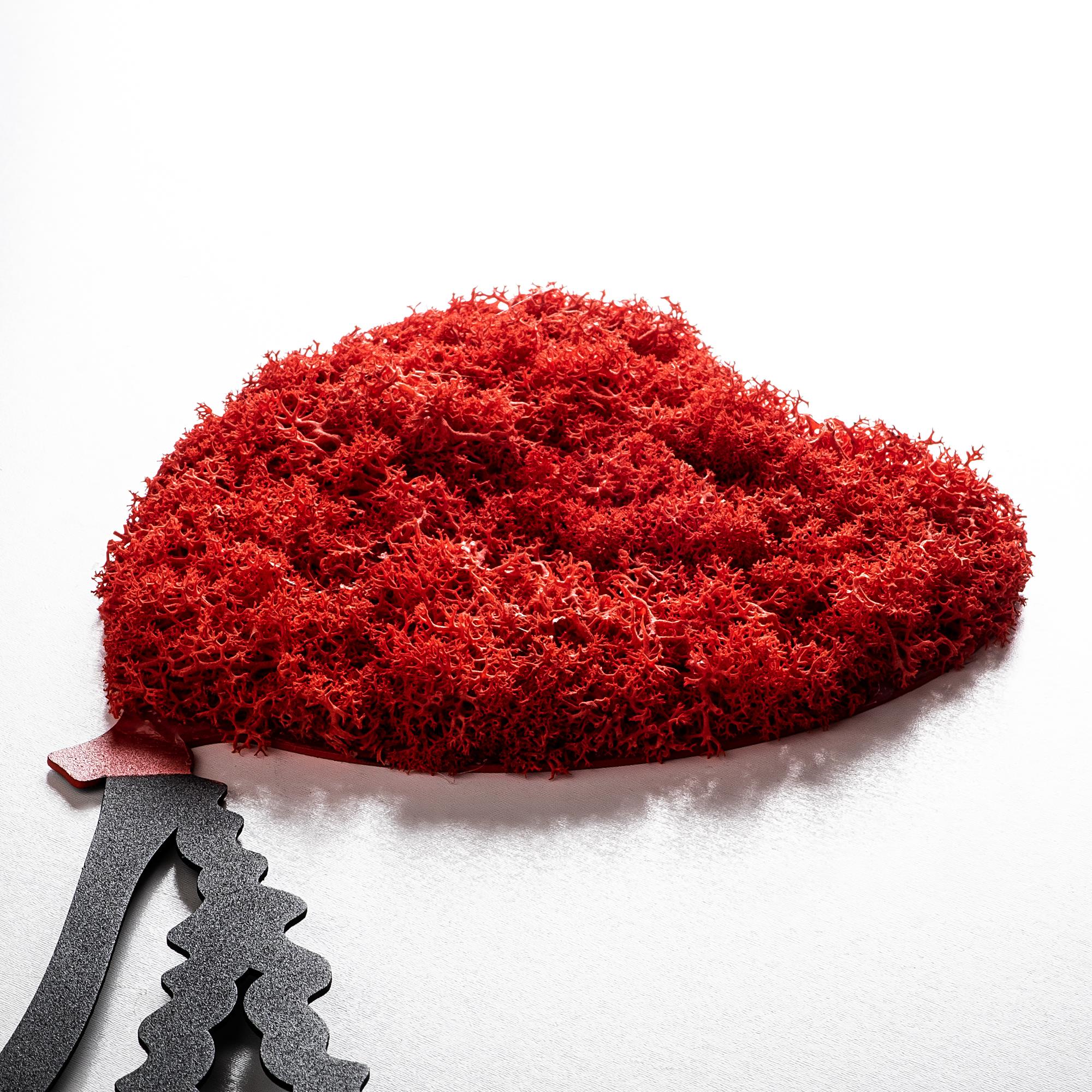 MODEL-431-A Dekoratif Yosun Duvar Tablosu | ByLamp