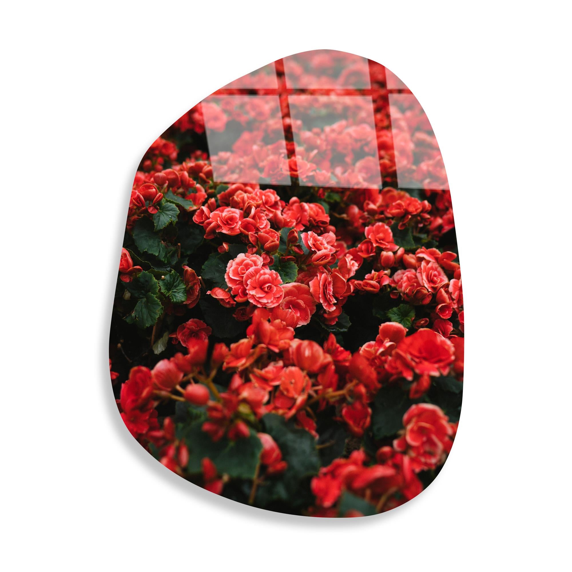 UV-1093 Baskılı Cam Amorf Duvar Tablosu | ByLamp